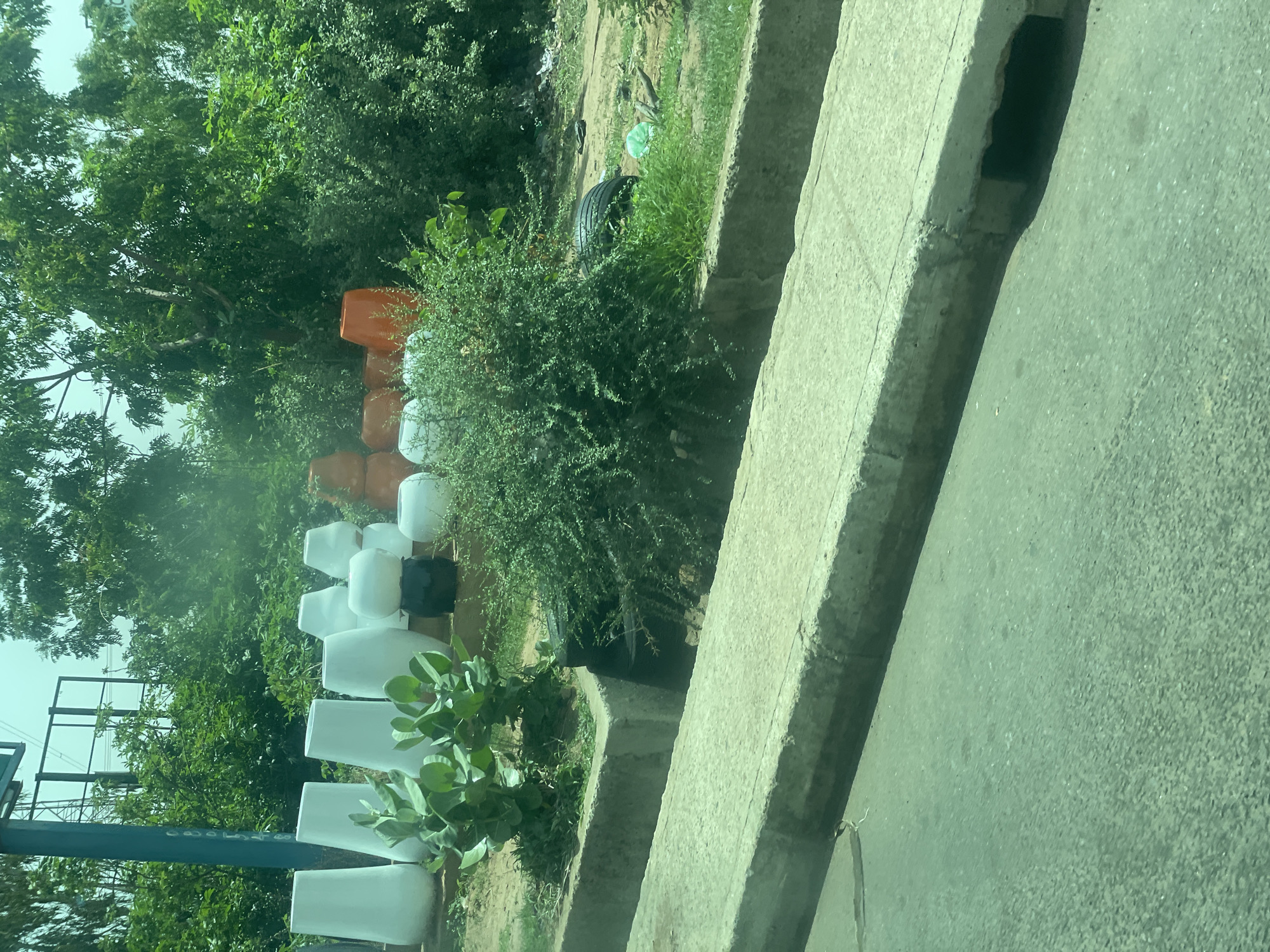 A street-level outdoor shot shows a collection of large white planters of varying heights and shapes arranged on a dirt and grass area. To the right of the white planters, there are several stacked orange planters and some white, round planters. A small green leafy plant is situated in front of some of the white planters. Further back and to the right, there is a dense green bush. In the foreground, a concrete gutter runs parallel to the road, which is visible in the lower portion of the image. The scene appears to be a roadside stall or display of planters.