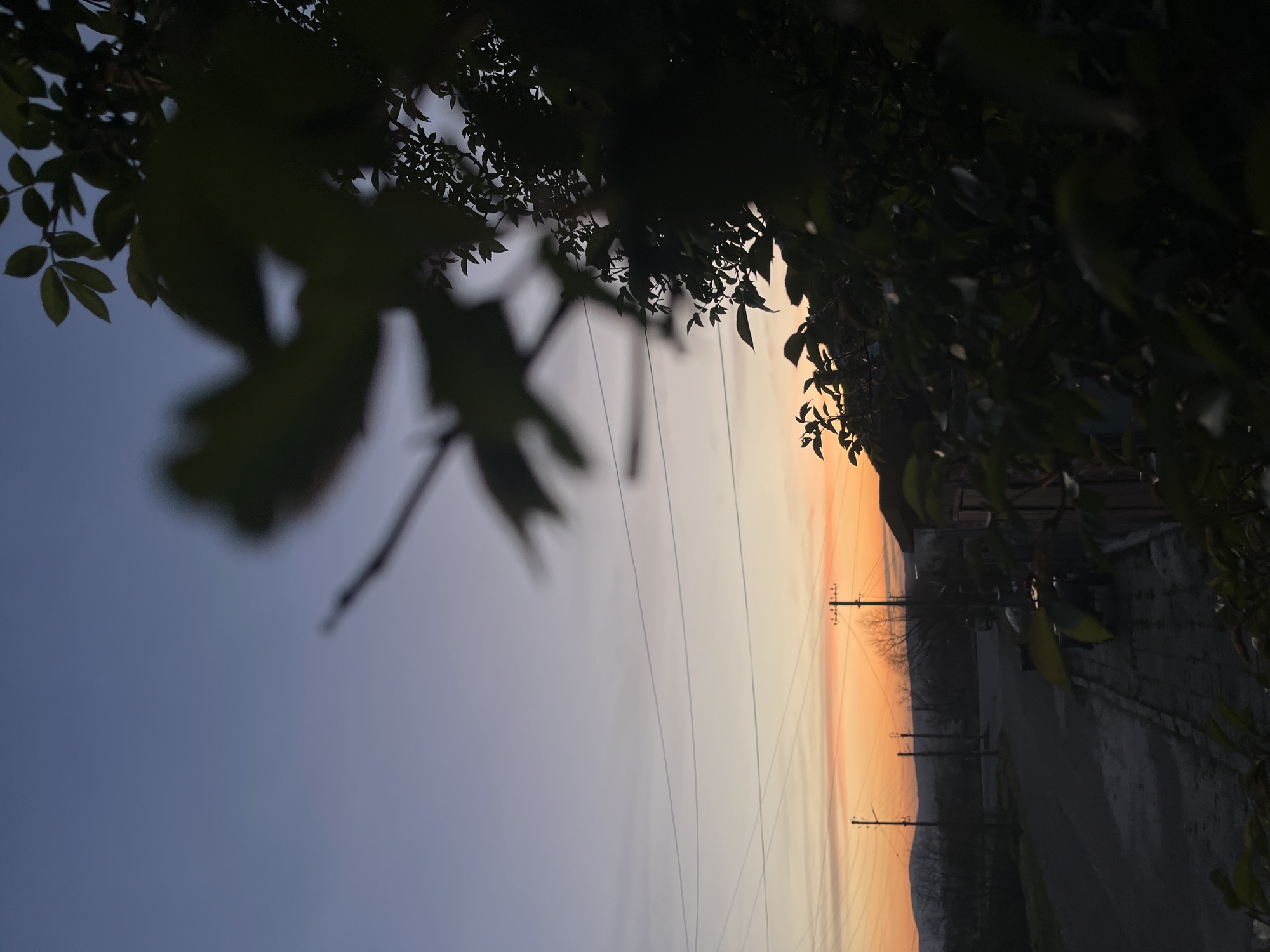 The image shows a dusk or dawn scene in what is likely Lozarevo, Bulgaria, judging from the user's request. The view is partially obscured by foliage in the foreground. In the middle distance, there are electrical poles and lines stretching across the sky, silhouetted against a sky gradating from orange near the horizon to blue above. A road or path is visible on the right side of the frame.