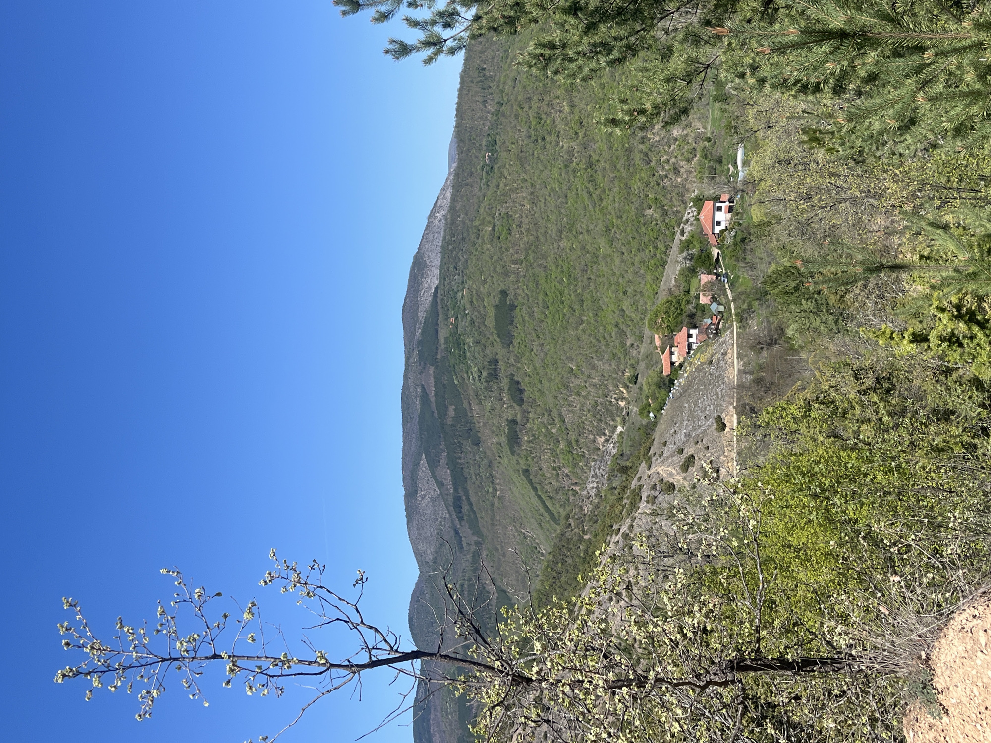 The image shows a mountainous landscape in the region of Polska Skakavitsa, Bulgaria. The sky is clear blue. A mountain covered in green trees dominates the scene. A small village of houses with red tile roofs nestles into the hillside. The foreground features trees and scrub vegetation. A dirt path is visible on the lower right of the image. A budding tree is to the lower left.