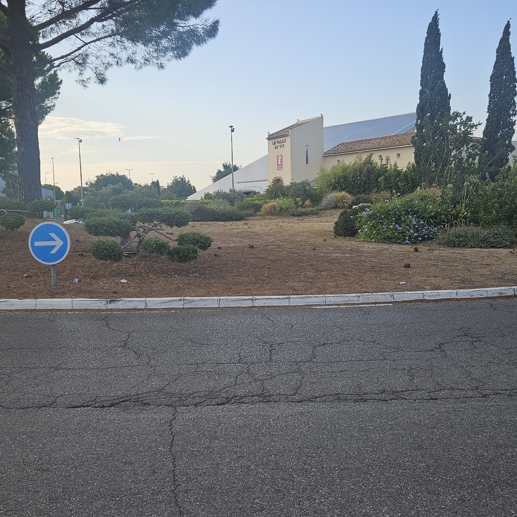 The image shows a circular blue directional sign with a white arrow pointing to the right, mounted on a pole in an area with dry brown ground cover and sculpted bushes. In the background, a modern building complex is visible, with one section featuring signage that reads "LE PALAIS DU VIN". The building has a beige facade and a terracotta-tiled roof, adjacent to a large structure with a light-colored, possibly reflective, sloped roof. Tall, dark green cypress trees stand to the right of the building. The foreground consists of a cracked asphalt surface. The scene appears to be an outdoor area, possibly near a commercial establishment, under a clear sky. This location is identified as being in Narbonne, France.