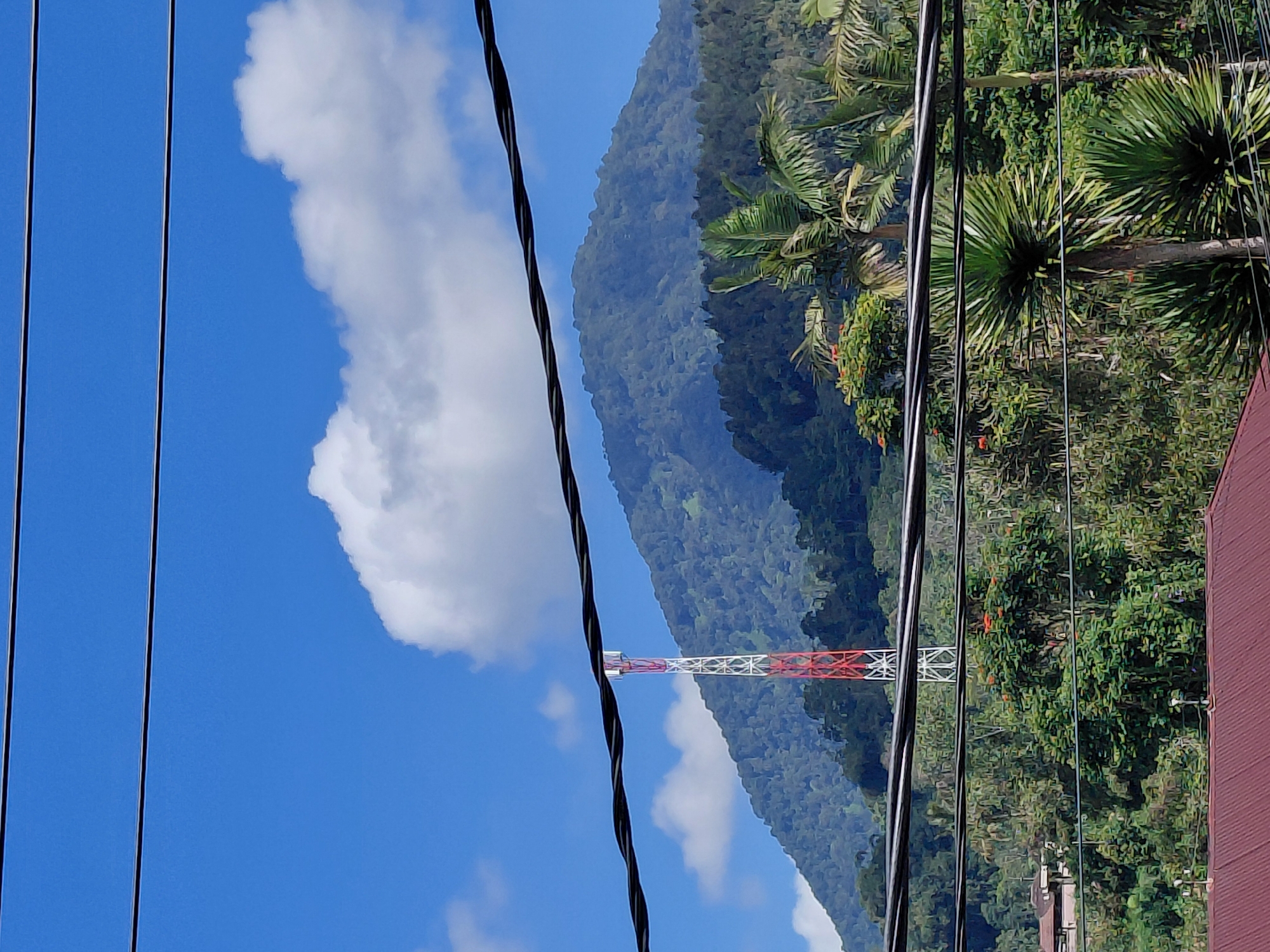 The image captures a view of a lush, green mountain range under a clear blue sky with scattered white clouds. In the foreground, several power lines crisscross the frame, obscuring parts of the scene. A prominent red and white telecommunications tower stands tall against the mountainside, serving as a focal point. The lower portion of the image reveals dense vegetation, including palm trees and other tropical foliage, along with the roof of a building with a reddish-brown tiled roof. The setting appears to be a semi-rural or suburban area, possibly on the outskirts of Baturiti, Indonesia, given the presence of dense greenery and tropical flora. The overall atmosphere is one of natural beauty with man-made infrastructure present.