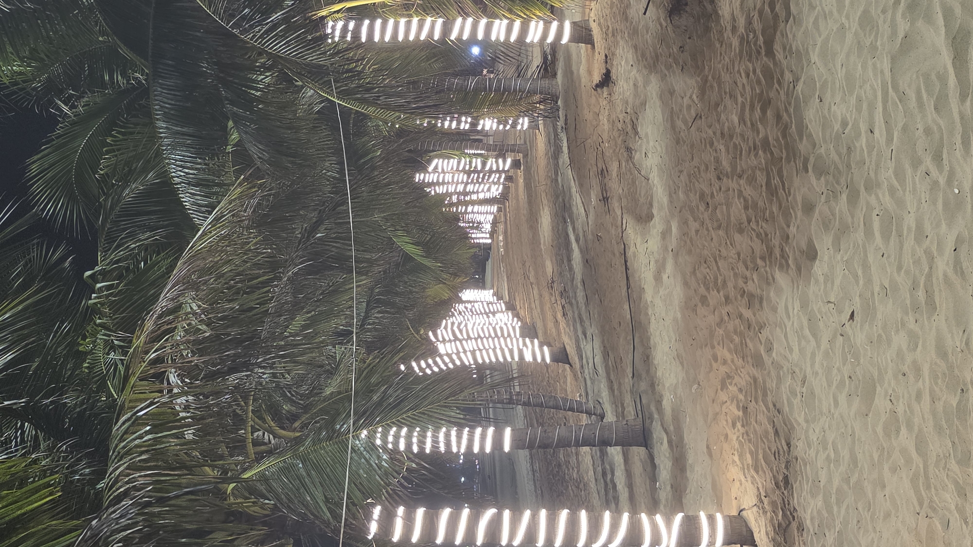 At night, a line of illuminated palm trees borders a sandy beach in Nha Trang, Vietnam. The tree trunks are wrapped with glowing lights, and the trees' shadows are cast on the sand. The beach stretches into the distance.