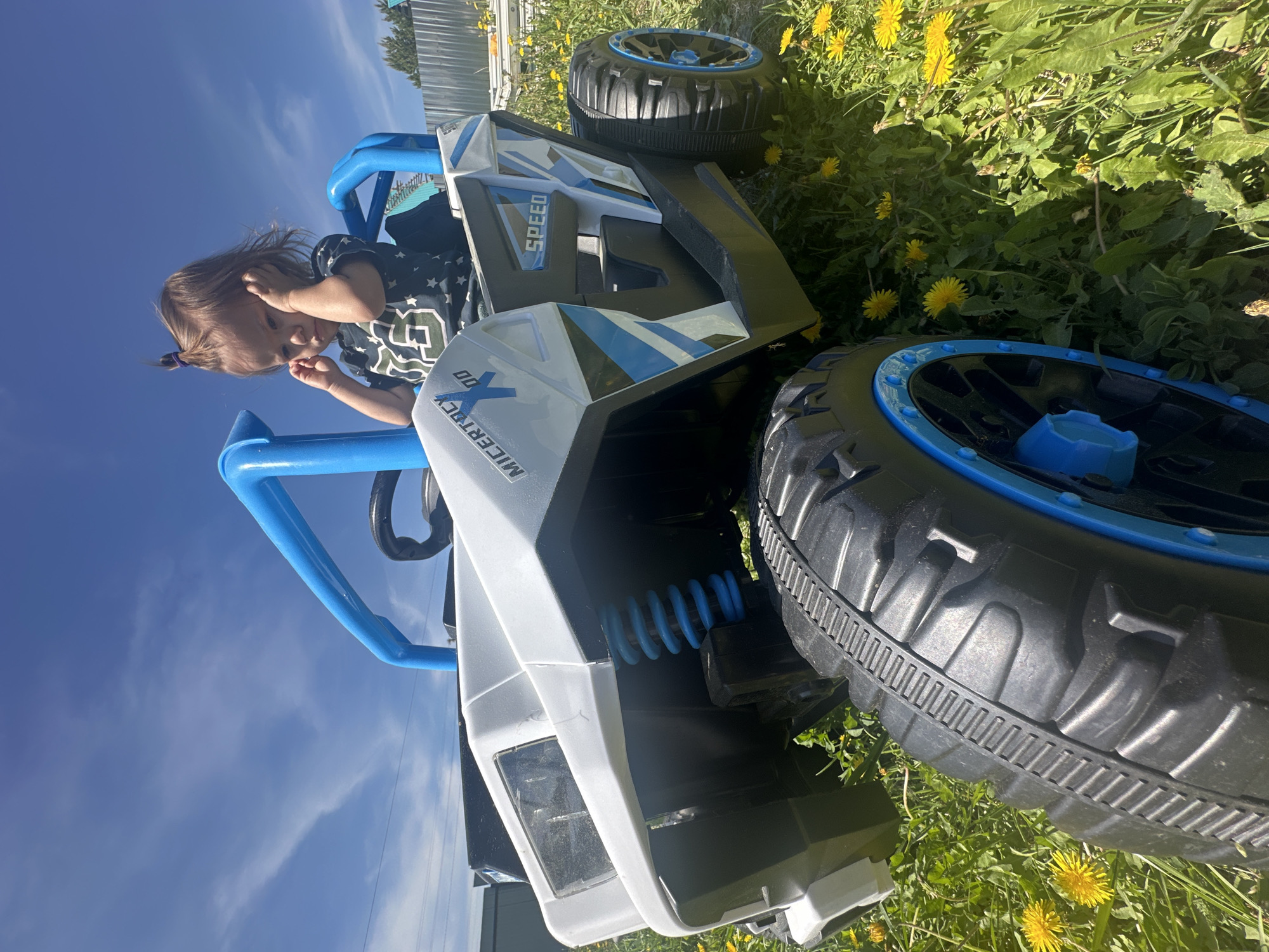The image shows a young child in a toy car. The car is parked on a grassy area with dandelions. The sky is blue with some clouds visible. The location is not discernible from the image.