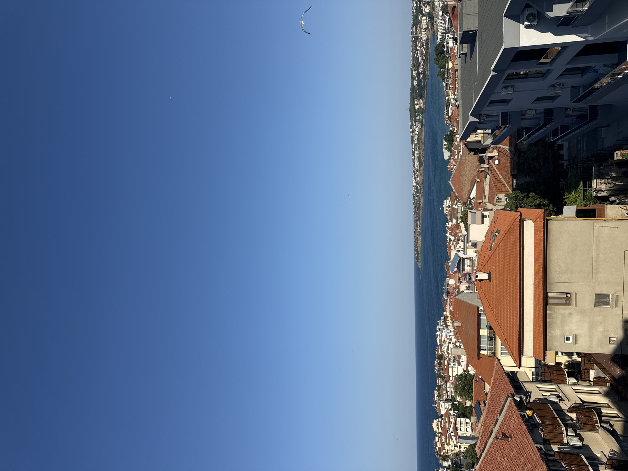 The image captures a panoramic view of Sozopol, Bulgaria, looking out towards the Black Sea. In the foreground, a cluster of buildings with terracotta tiled roofs is visible. These structures appear to be residential, with balconies and windows evident. To the right, a modern building with a grey facade and dark-paneled balconies stands out. Beyond the buildings, the azure waters of the Black Sea stretch to the horizon, with a peninsula dotted with more buildings and lush greenery forming the backdrop. The sky is a clear, vibrant blue, with a single seagull in flight on the right side of the frame. The overall impression is a sun-drenched coastal town.