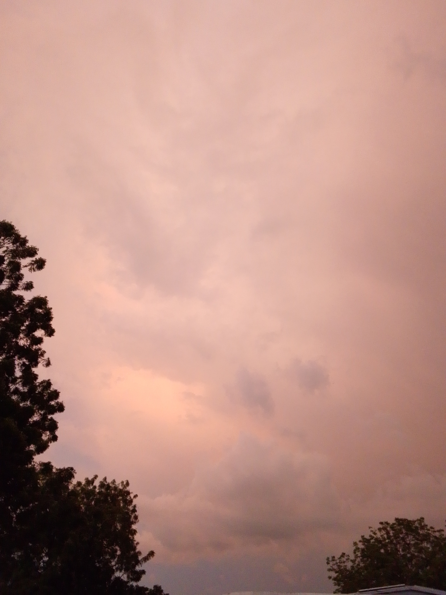 The image depicts a sky filled with clouds during what appears to be sunset or sunrise, casting a warm, pinkish hue. Silhouetted against the sky are the dark green leaves of trees on the left and bottom right of the frame. The bottom edge of the image suggests the presence of a building or structure. The location is identified as Serti, Nigeria. There are no people or animals visible in the image.