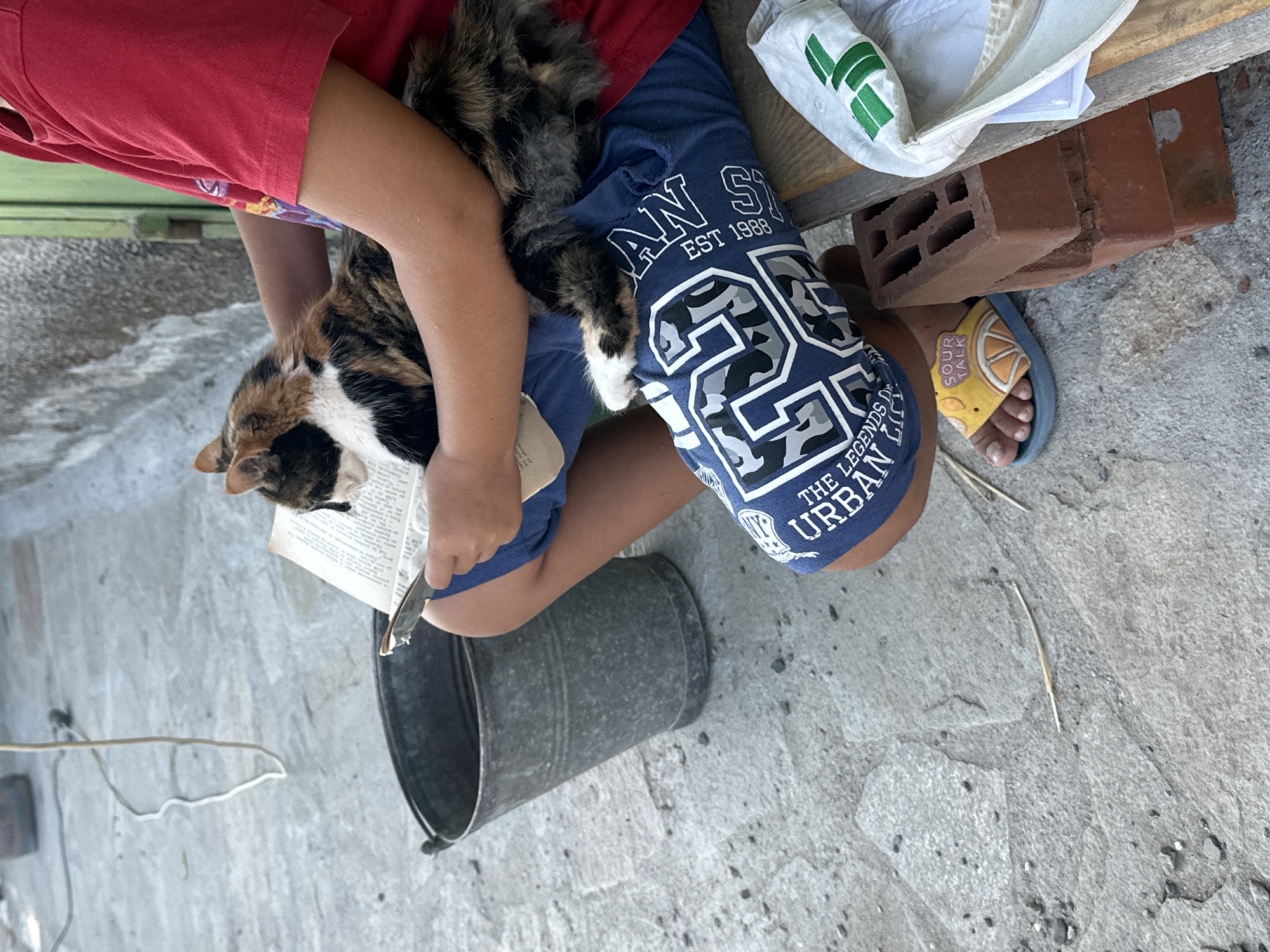 An individual wearing a red t-shirt and blue shorts sits on a wooden bench outdoors. The individual is holding an open book in their lap and a calico cat is resting on their legs, partially on the book. The individual's feet are visible, wearing yellow slide sandals. To the left of the bench is a metal bucket and a grey concrete ground with visible stones and cracks. In the background, a partially visible green wooden door or gate can be seen. Two red bricks are stacked on the bench next to the individual.