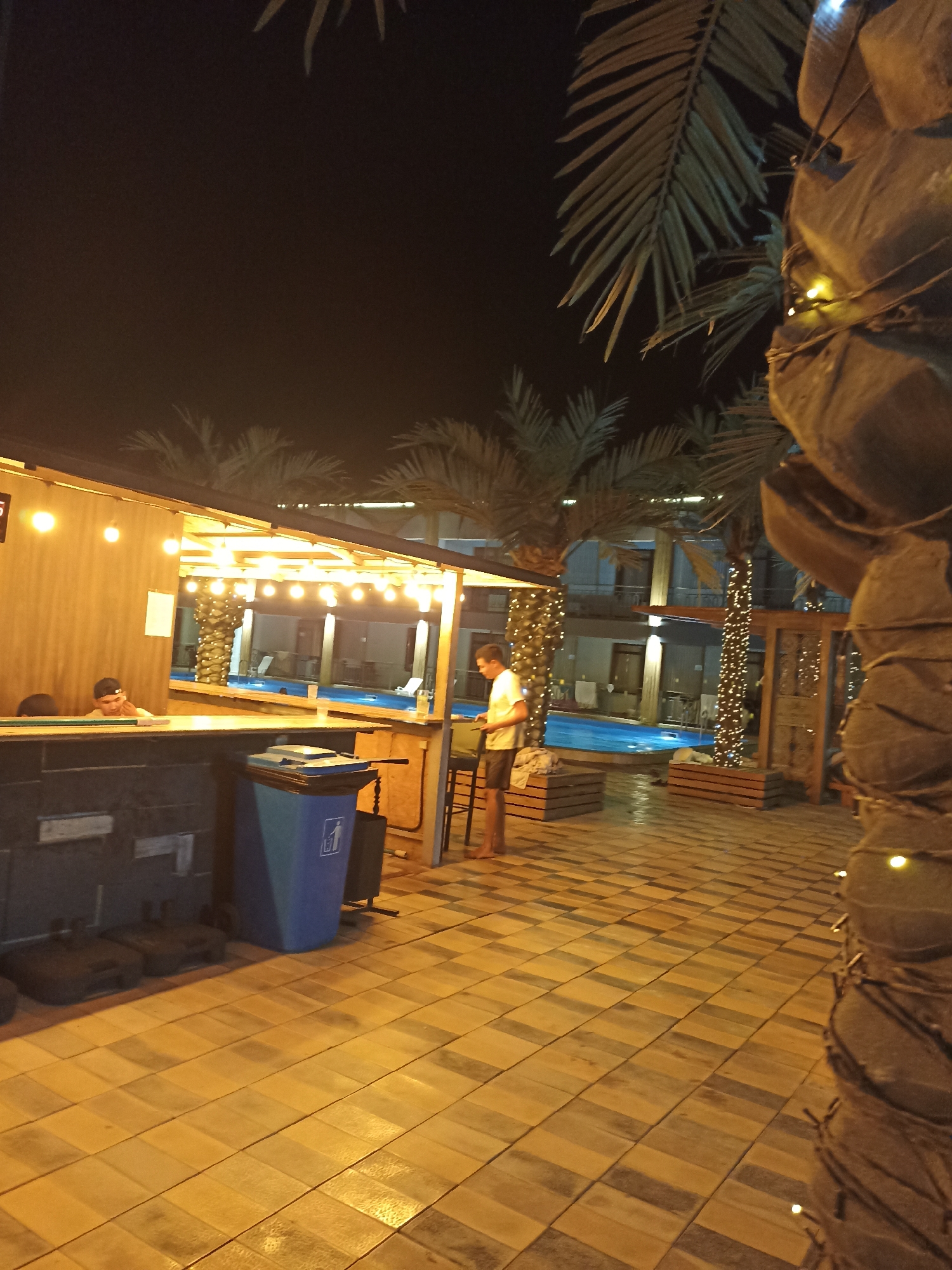The image depicts a nighttime scene at a poolside bar, likely in the city of Sorbulak, Kazakhstan. In the foreground, a large palm tree wrapped in string lights stands to the right. The bar area is to the left, with a wooden counter. Two individuals are visible; one person, wearing a t-shirt and shorts, stands near the bar and appears to be interacting with someone or something out of frame. Another person, wearing a cap, is seated behind the counter, partially obscured. Behind the bar, a swimming pool with blue water is visible, surrounded by palm trees and buildings. The ground is paved with rectangular tiles, and a blue trash bin is placed near the bar. The lighting is warm, with string lights illuminating the trees and bar area.