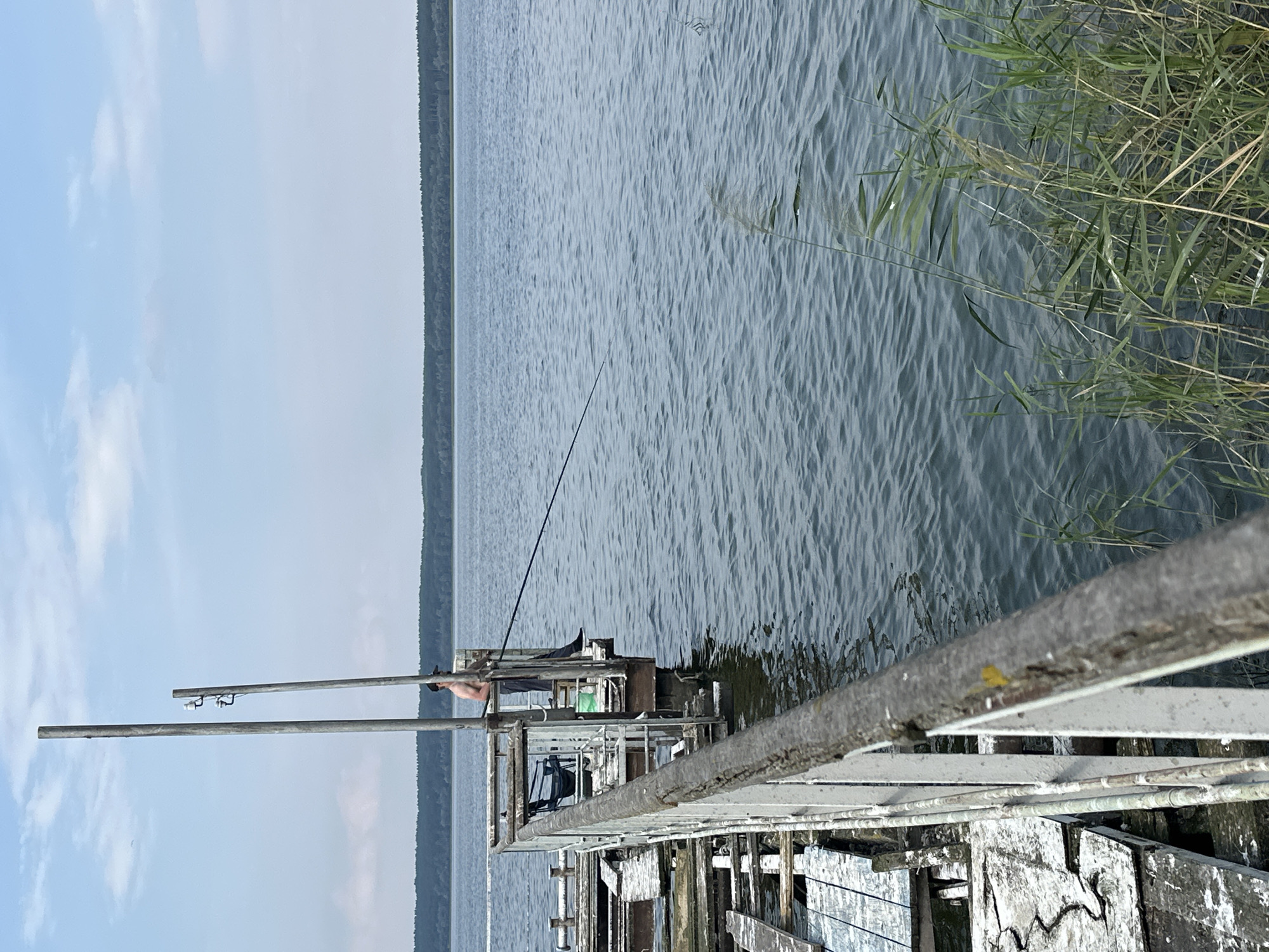 A person stands on a wooden pier in the city of Sadovka, Russia, fishing in a calm lake. The person, wearing a black cap, is shirtless and holding a fishing rod. The pier is made of weathered wood and metal railings, with some sections appearing to be in disrepair. Reeds grow along the edge of the water in the foreground. In the background, a dense forest lines the opposite shore of the lake under a partly cloudy sky.