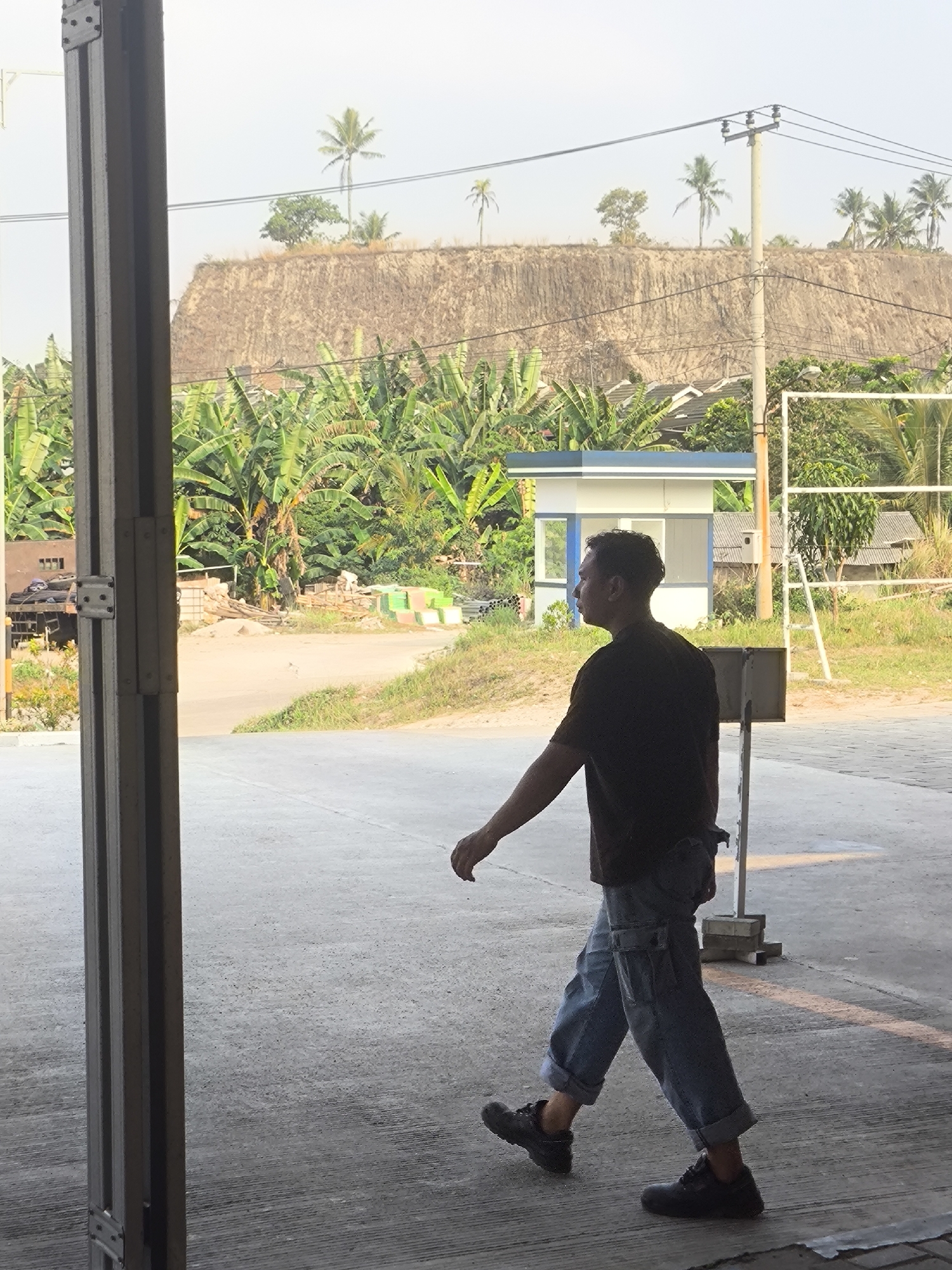 A medium-shot, eye-level, outdoor photograph captures a lone male individual walking away from the camera, facing towards the right side of the frame. The man is dressed in a dark t-shirt, baggy denim jeans rolled up at the ankles, and dark lace-up shoes. He has dark hair and appears to be in his late 20s or early 30s. The man is walking on a paved surface.
In the background, a steep, eroded dirt embankment is visible, with sparse vegetation and several palm trees on its crest. Below the embankment, a cluster of banana trees forms a dense green canopy. A small, white and blue structure with windows stands amidst the vegetation, possibly a guardhouse or small office. Further in the background, houses with tiled roofs are nestled among trees. Utility poles with electrical wires are also present. The scene appears to be in a semi-rural or industrial area, potentially near the coast, given the presence of palm trees. The lighting suggests it is daytime, with the sun casting shadows.
The location is Cilegon, Indonesia, likely an area with agricultural activity and industrial infrastructure, as suggested by the banana plantation and utility poles.