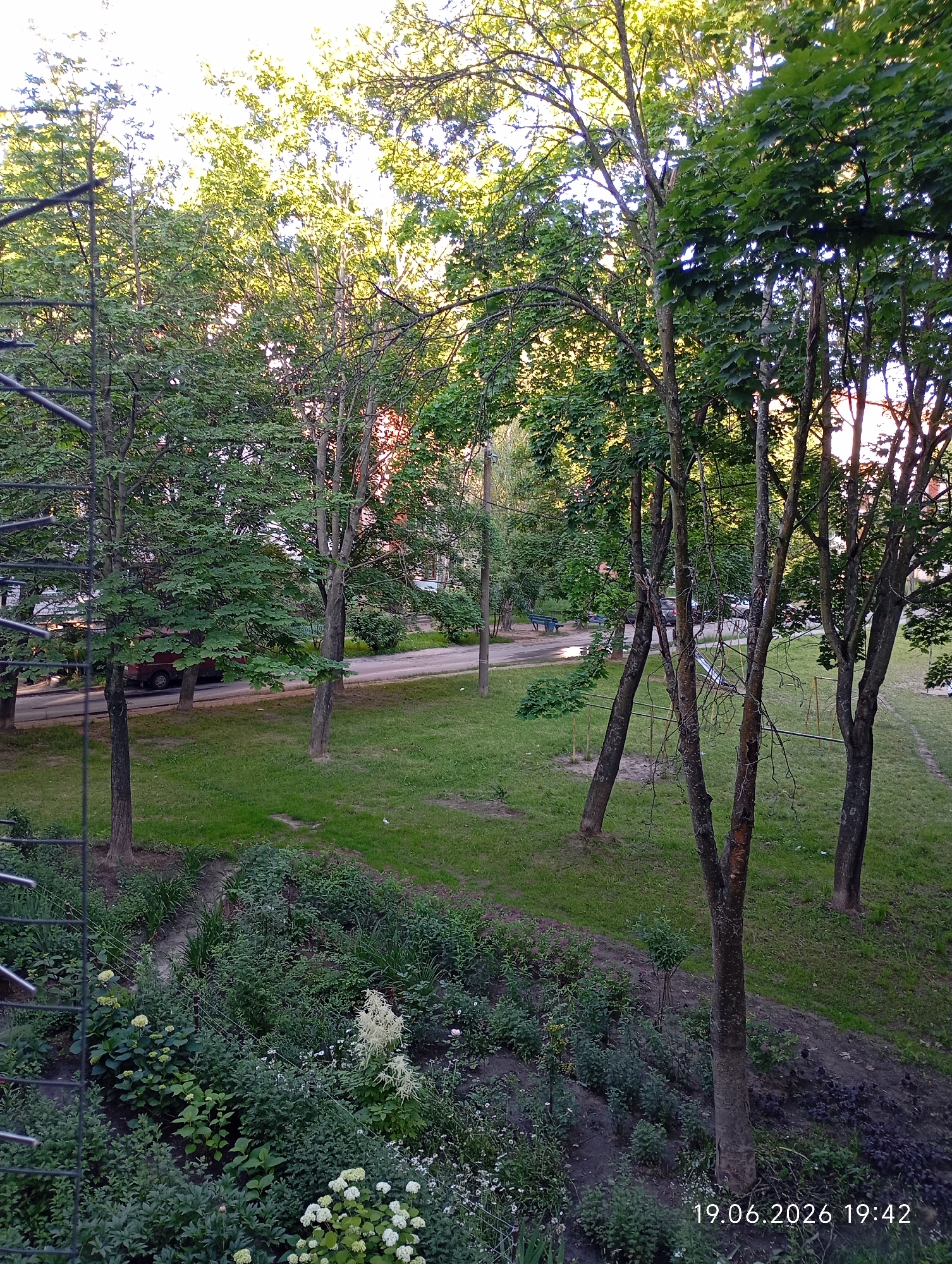 The image depicts an outdoor scene, likely a residential courtyard, in Homyel, Belarus. The foreground features a sloped area with dense green vegetation and flowering plants, including white flowers. A metal fence or railing is partially visible on the left. Beyond this, a grassy lawn stretches towards a paved area and a road. Several trees with lush green foliage are scattered throughout the scene, some with thin, bare branches visible. A red car is parked on the side of the road, and other parked vehicles are partially visible further down. The background consists of buildings with visible windows. The timestamp in the lower right corner indicates the image was taken on June 19, 2026, at 19:42. The lighting suggests it is late afternoon or early evening, with sunlight filtering through the trees.