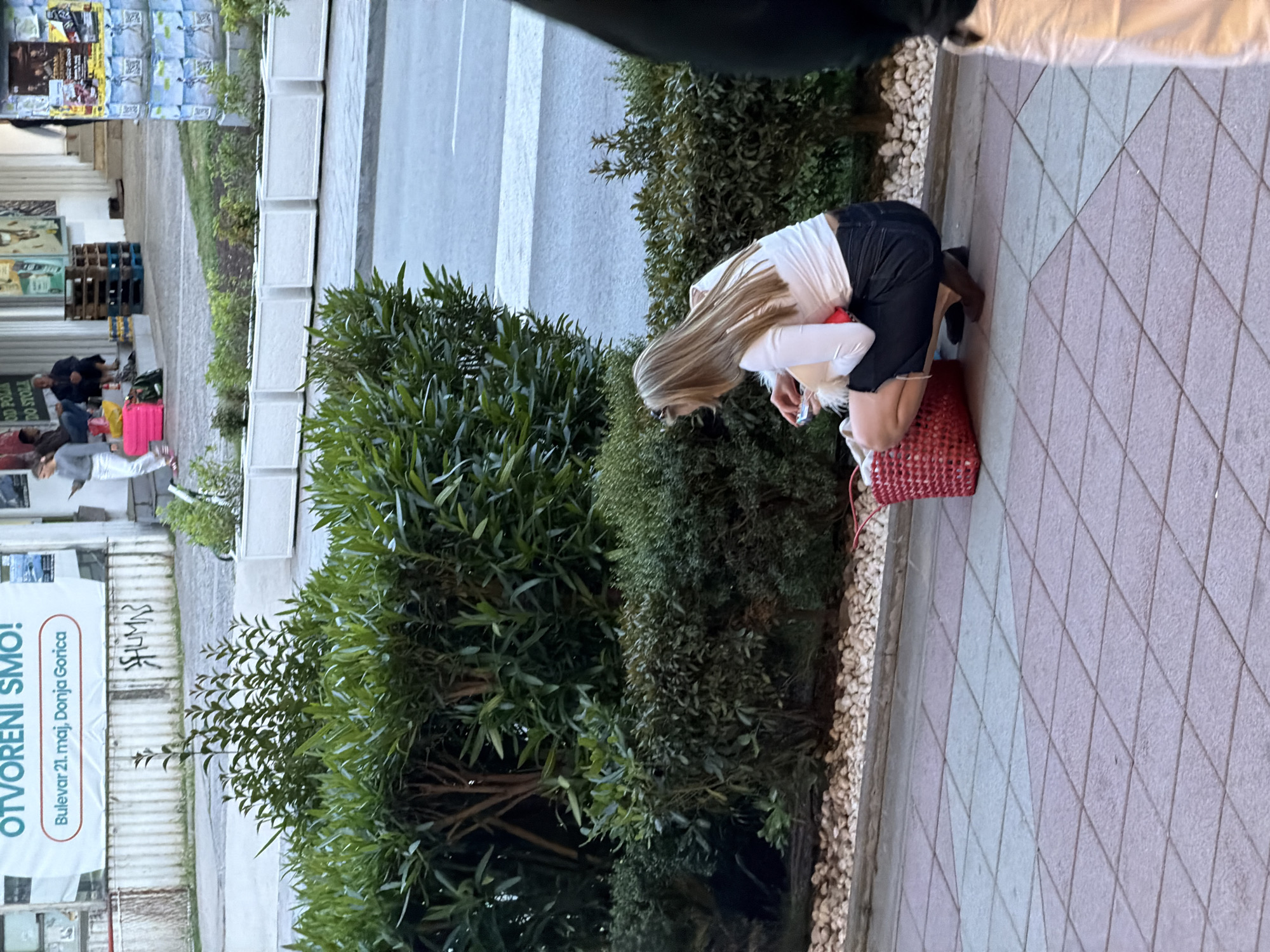 A woman with long blond hair, wearing a white long-sleeved shirt and dark denim shorts, is bending down near a bush with a red basket on the sidewalk. The location is likely in the city of Budva, Montenegro, as indicated by the advertisement that reads "OTVORENI SMO! Bulevar 21. maj, Donja Gorica". There is an urban scene in the background with buildings, trees, and other people.