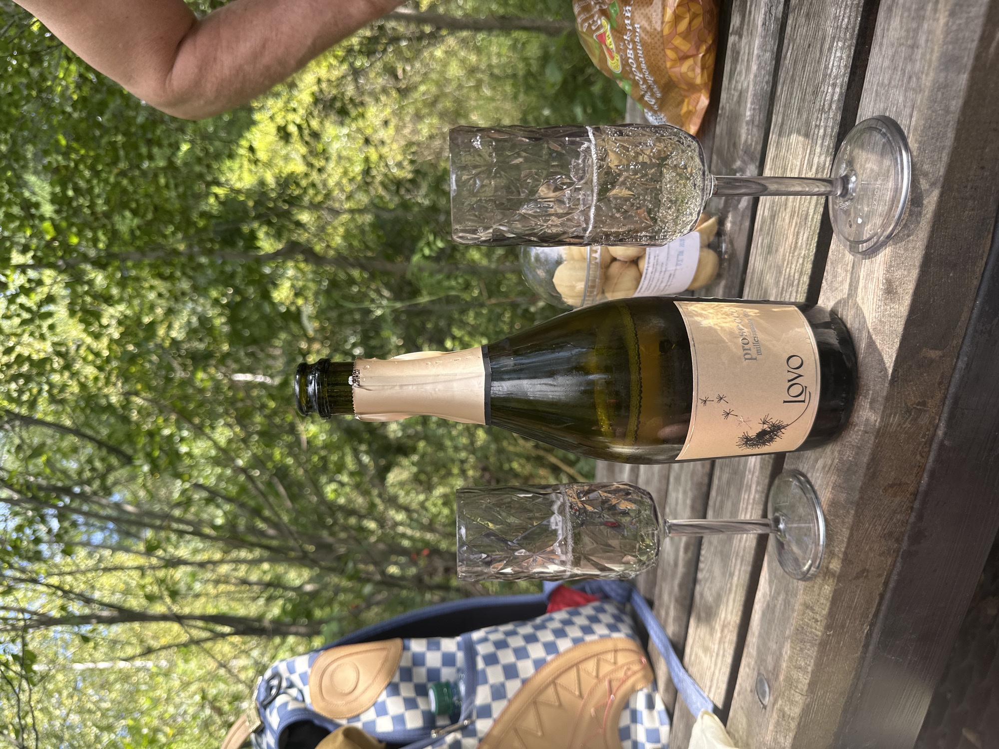 In an outdoor setting with trees and foliage visible in the background, a wooden table is laid out with picnic items. Two champagne flutes, each filled with a bubbly light-colored liquid, stand on the table. A bottle of Prosecco with a gold foil cap and a label featuring dandelions and the word "LOVO" is positioned between the glasses. To the right of the glasses, a plastic container of cookies and a bag of snacks are present. A blue and white checkered backpack with tan leather accents is partially visible on the left side of the table. A person's arm and shoulder are visible on the upper right side of the image, suggesting they are part of the picnic.