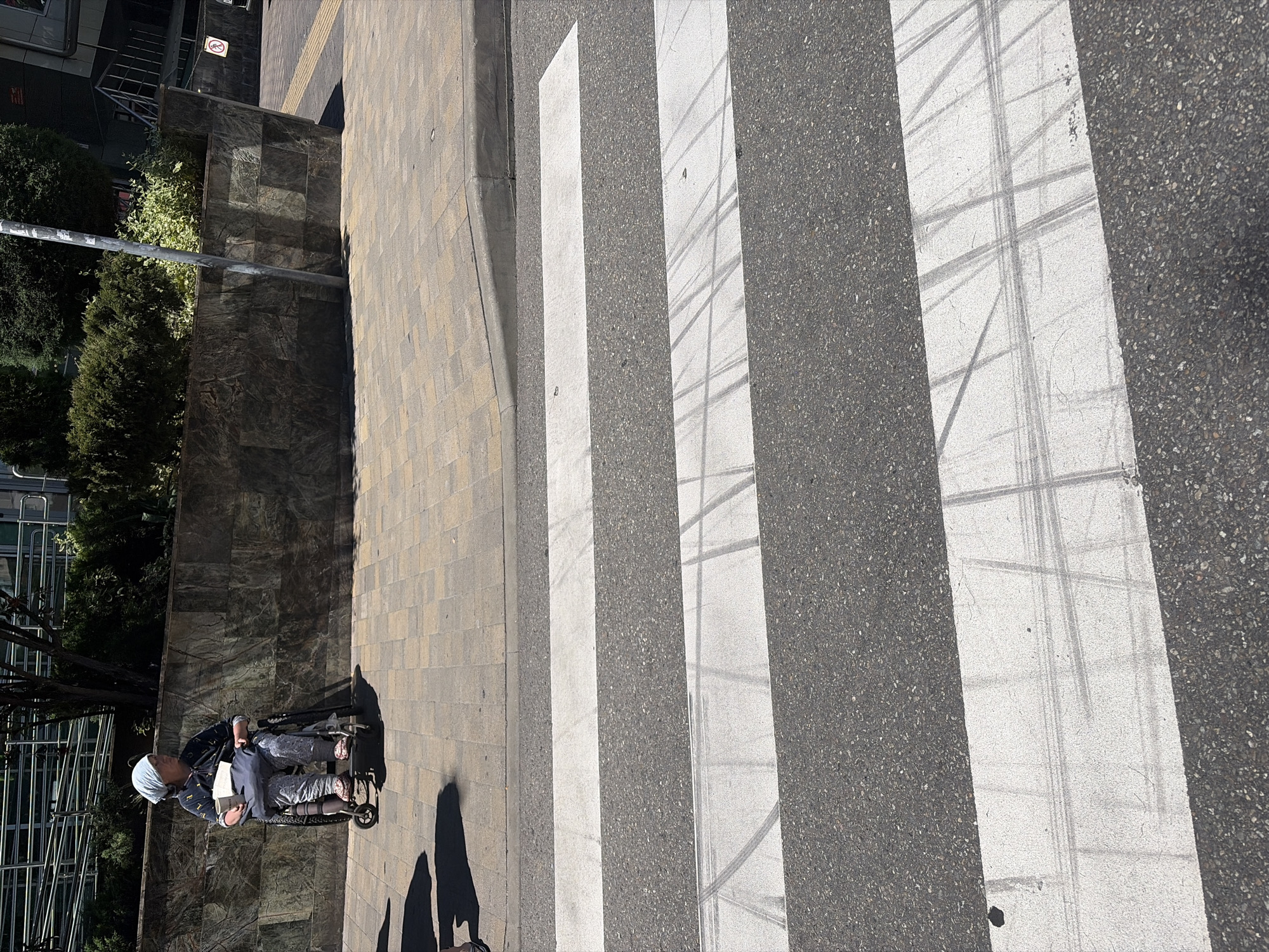 This image captures an overhead view of an urban street scene on a bright, sunny day, likely in Sochi, Russia. A person in a manual wheelchair is the primary subject, positioned on a light-colored, patterned paver sidewalk. They are wearing a light-colored head covering, a dark patterned shirt, and their lower body is covered by a light, possibly reflective, blanket or fabric. The wheelchair features small front wheels and larger rear wheels.
The person is situated at the edge of the sidewalk, next to a pedestrian crosswalk composed of several wide white stripes painted across dark asphalt. These white stripes show visible wear, including tire marks and scuffing from traffic. To the left of the sidewalk, a dark, textured building facade, possibly made of stone or large tiles, rises upwards. Green foliage, including bushes and trees, grows alongside this building, partially obscuring its lower sections. A grey metal pole extends vertically near the curb.
The strong sunlight casts distinct, elongated shadows of the photographer and potentially another person onto the sidewalk and the initial white stripe of the crosswalk. In the upper left background, on the building wall, a small, red circular prohibition sign is visible. The scene portrays a tranquil moment in an urban environment under clear skies.