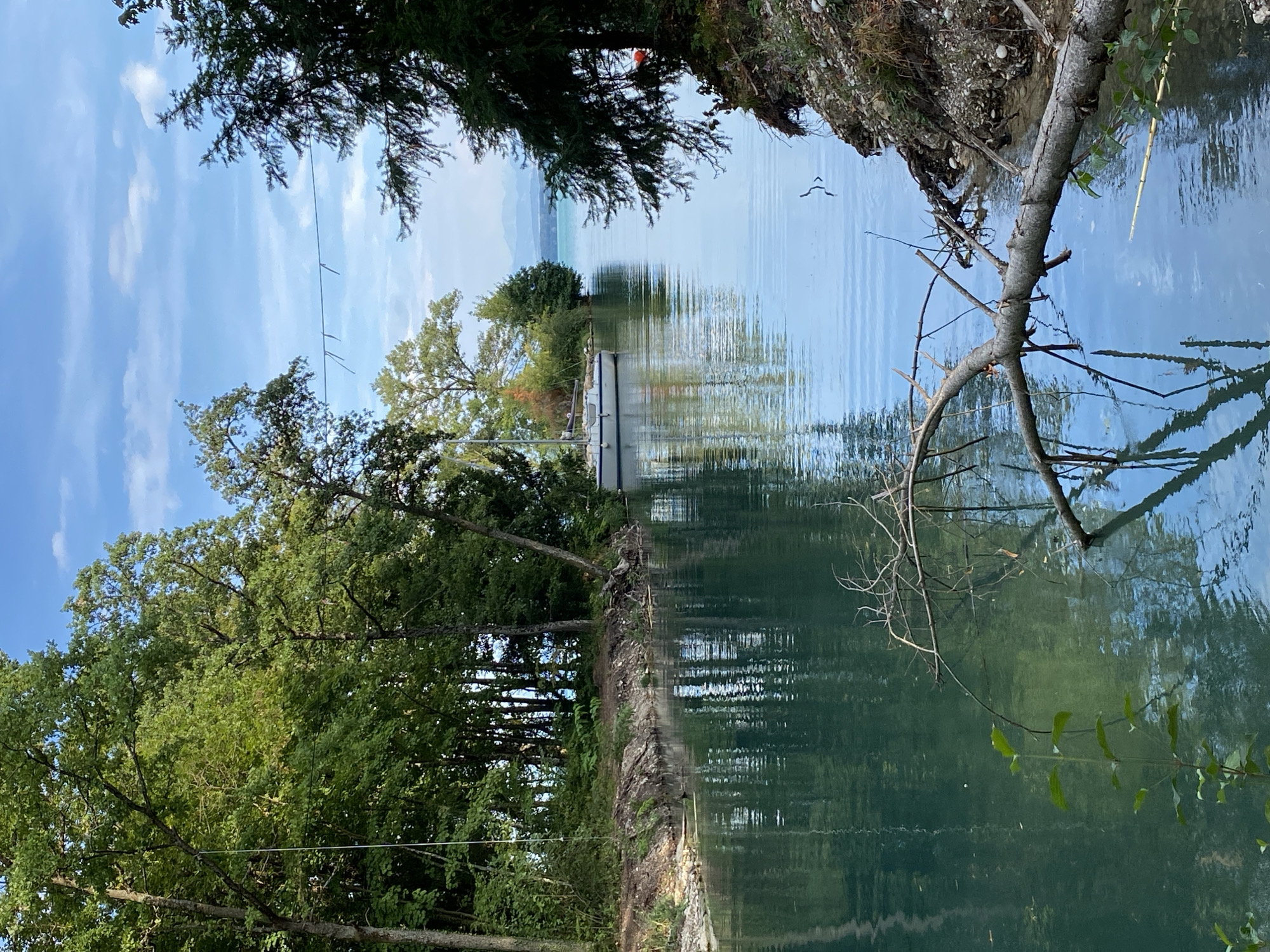 The image depicts a tranquil natural scene along the shore of Lake Neuchâtel, specifically in the municipality of Cortaillod, Switzerland. The foreground is dominated by a calm body of turquoise water, reflecting the surrounding trees and the sky. A fallen tree branch lies partially submerged in the water, its textured surface contrasting with the smooth water. To the left, a lush green bank is densely populated with various trees, their leaves appearing vibrant and healthy. A thin white rope, possibly from a swing, hangs from a tree on the left bank. Further into the scene, a white sailboat is moored in the water, its sails furled. The sailboat is positioned in a narrower channel of water that opens up to a wider expanse of the lake in the distance. The background reveals a hazy outline of mountains across the lake, under a sky with scattered white clouds against a bright blue backdrop. The right bank of the watercourse is rocky and uneven, with exposed soil and vegetation. The overall impression is one of serenity and natural beauty.
