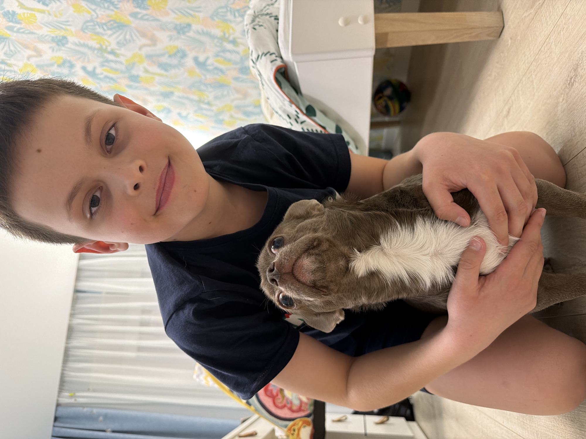 A boy kneels, cradling a brown and white puppy. The boy is fair-skinned with short brown hair and a dark blue t-shirt. He looks toward the camera and smiles slightly. The puppy is nestled in his arms, its head tilted upward. They are on a light-colored wood floor. In the background, a light-colored table with patterned linens and drawers can be seen. The image was taken indoors. It is unclear if this image was taken in Votkinsk, Russia as no evidence of the location exists in the image.