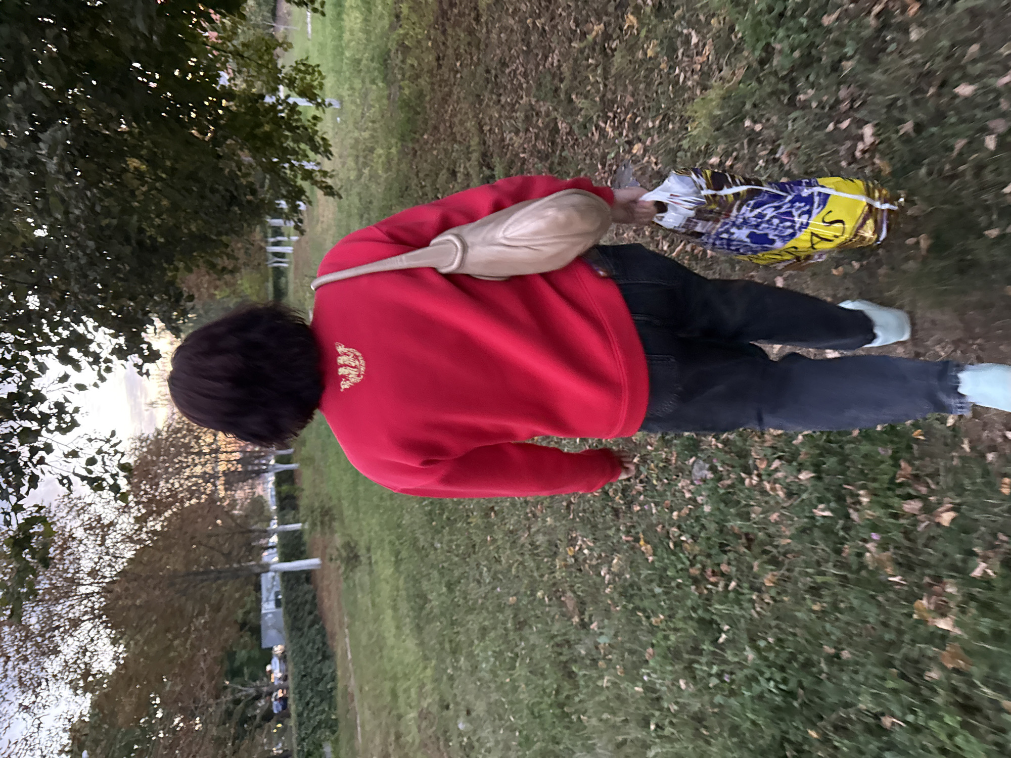 A person with dark, shoulder-length hair walks away from the camera in a grassy park area. They are wearing a red sweatshirt with a golden emblem on the back, dark jeans, and light blue sneakers. A light brown purse is slung over their right shoulder, and they are carrying a shopping bag in their right hand. The background features trees with autumn foliage and a sunset sky. This scene is located on the grounds of a school or educational institution in the city of Zheleznogorsk, Russia, indicated by the white-painted tree trunks commonly seen in such areas for aesthetic purposes and maintenance.