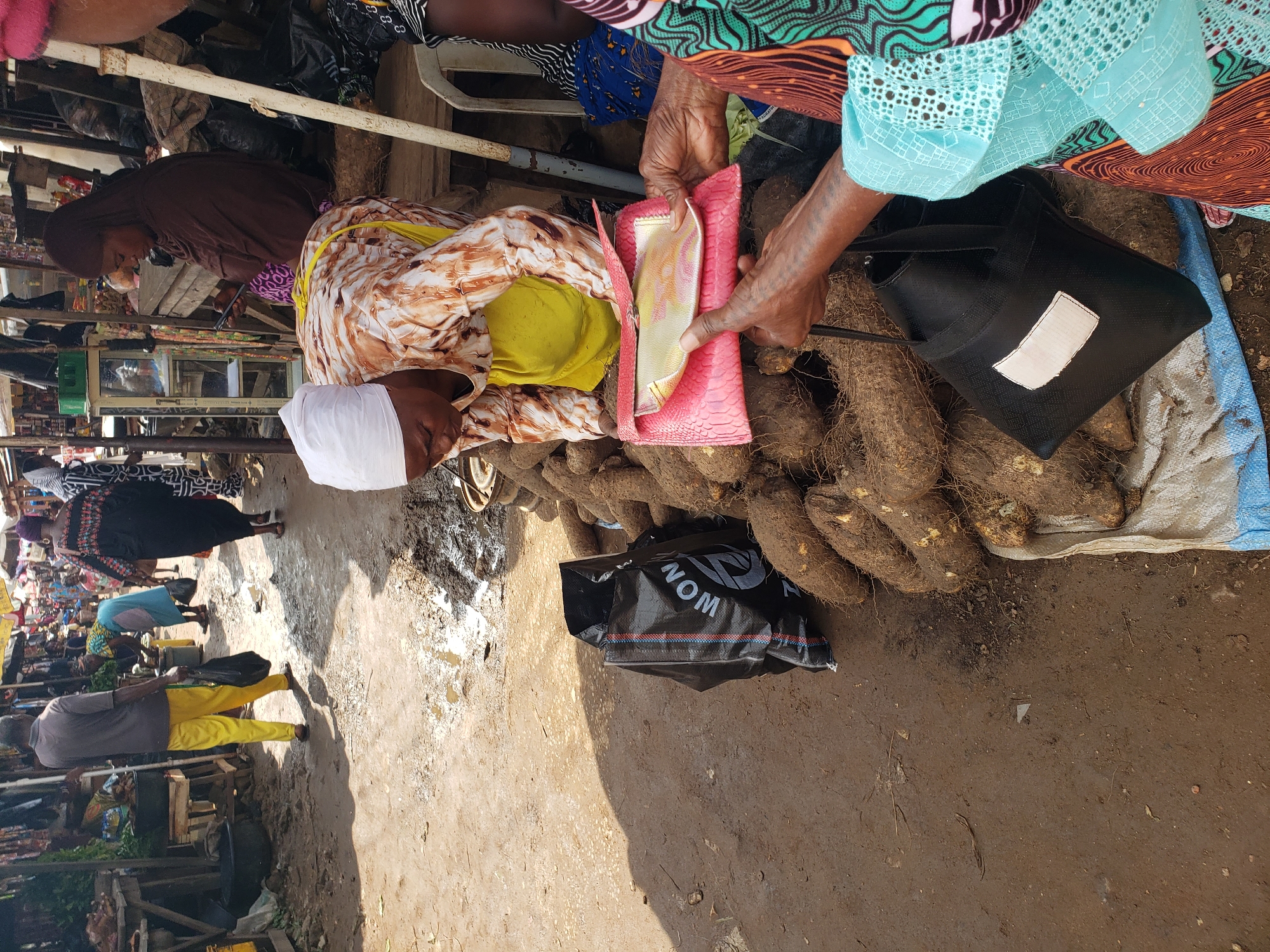 The image depicts a bustling outdoor market scene in Sabon Tasha, Nigeria. In the foreground, a woman wearing a white headscarf and a patterned dress is shown leaning over a pile of tubers, possibly yams. She is holding a pink clutch purse and a gold-colored item appears to be inside it. To the right, another woman, partially visible and wearing a colorful patterned garment, is holding a black handbag with a white label. Behind them, a large pile of tubers is visible, some wrapped in a light-colored bag. In the background, other market-goers are seen in various stalls and navigating the dusty, uneven ground. The market appears to be crowded, with goods displayed on tables and the ground. The overall impression is one of a vibrant and active marketplace.