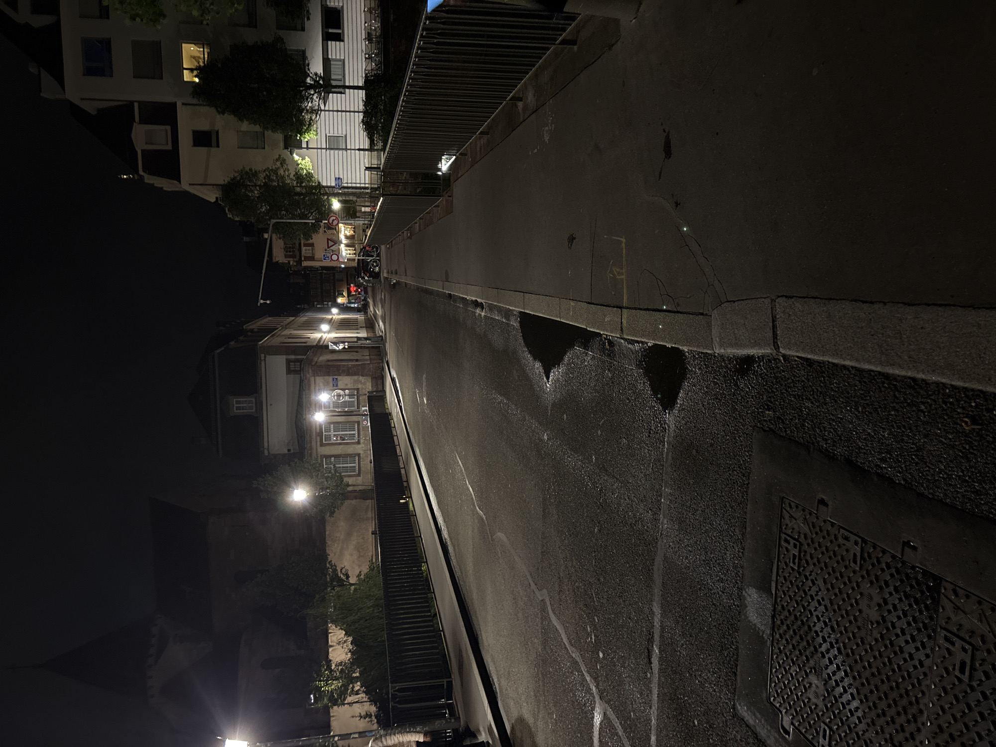 A night scene of a wet, paved city street, likely a bridge due to the presence of a metal railing on the left. The camera points along the length of the street toward a distant intersection, streetlights, and buildings. The location is Strasbourg, France, based on the style of architecture and street lighting. There are buildings visible on both sides of the street, varying in height and design. Some buildings have windows lit up. There is a manhole cover visible on the bottom right of the street. The street is mostly dark. The perspective suggests the photograph was taken from a low angle. There are some trees visible, mostly on the left-hand side, but partially obscured by the darkness.