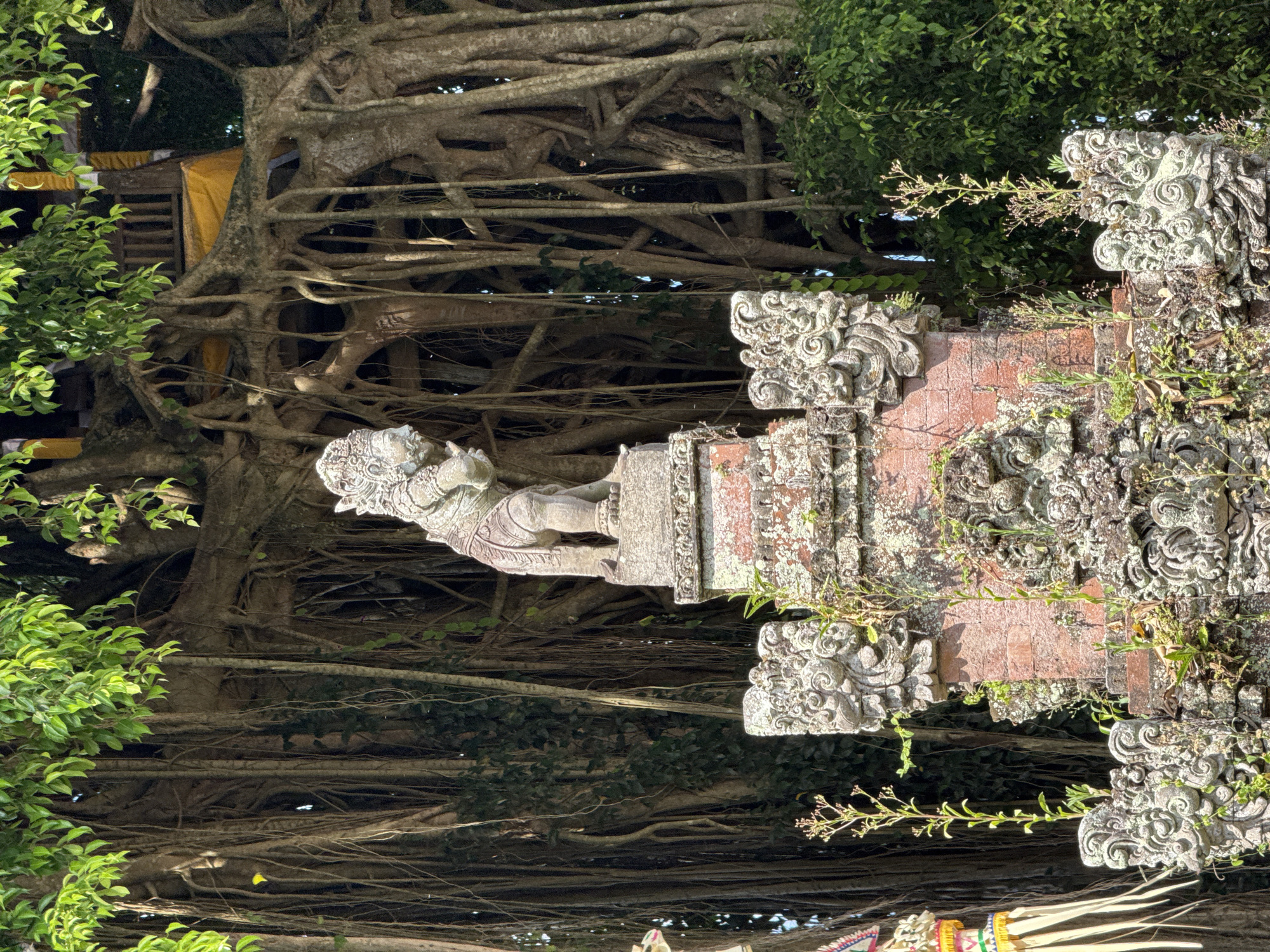 An outdoor medium shot captures a stone statue of a mythical creature, possibly a lion or garuda, standing atop an intricately carved stone structure. The statue is positioned in the center of the frame, facing to the left. The structure beneath it is adorned with ornate relief carvings, featuring swirling patterns and floral motifs, and appears to be constructed from weathered stone and brick. The surface of the stone is partially covered in moss and lichen, indicating age and exposure to the elements. Greenery, including vines and small plants, grows on and around the structure.
Behind the statue and structure, a massive banyan tree dominates the background. Its thick, gnarled trunk and widespread branches are draped with numerous aerial roots that hang down like thick ropes, creating a dense, shadowy canopy. Lush green leaves of the banyan tree are visible at the top and sides of the image, filtering the sunlight. In the upper right portion of the frame, behind the banyan tree's branches, a structure with yellow fabric and wooden railings is partially visible, suggesting it is elevated or part of a temple complex. The overall environment suggests a tropical or subtropical setting. The statue and structure appear to be located in an outdoor temple or historical site. This scene is characteristic of the cultural and natural landscape found in Ubud District, Indonesia, known for its ancient temples, dense forests, and spiritual sites.