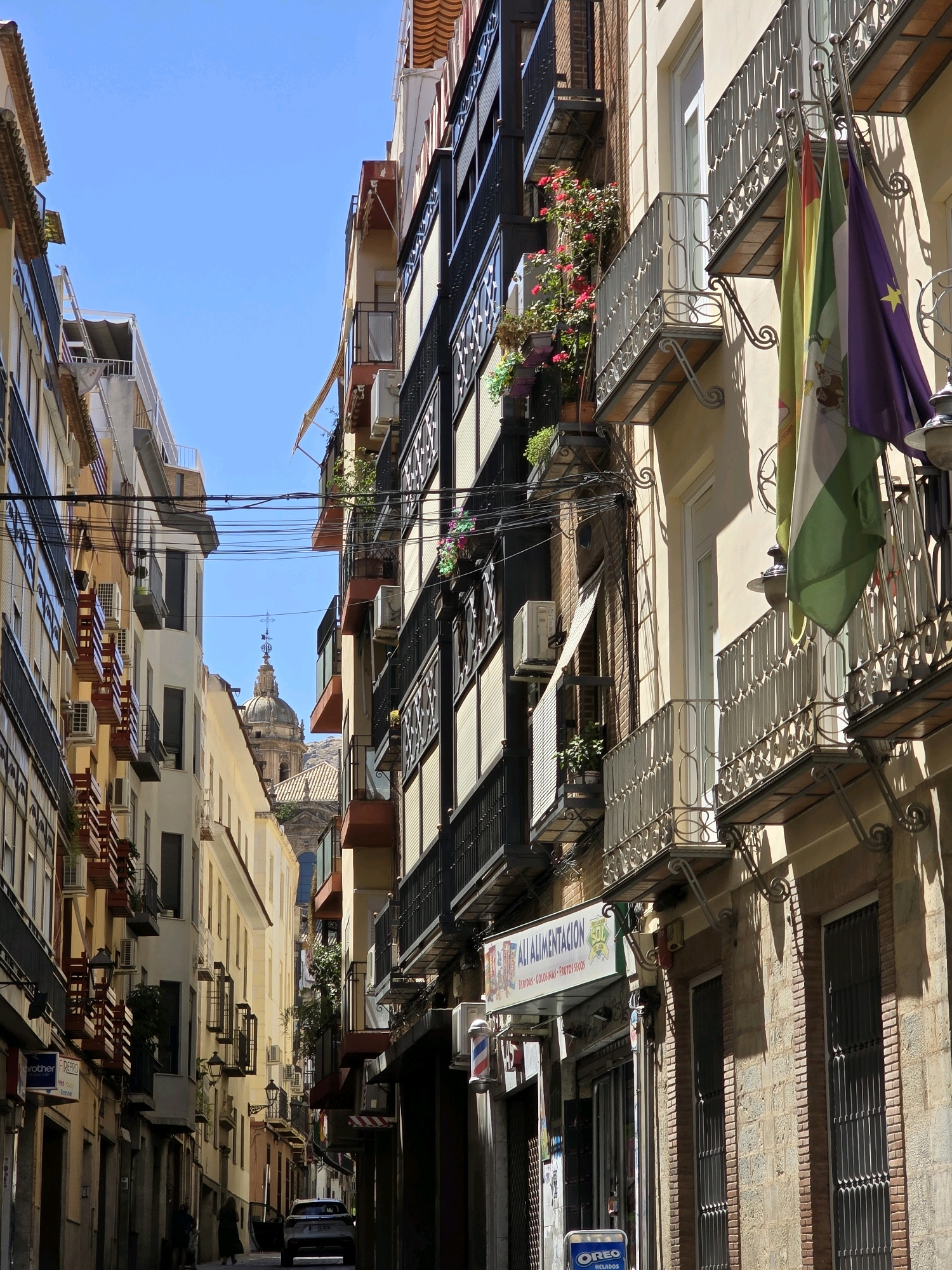 The image depicts a narrow street scene in Jaén, Spain, characterized by tall, closely packed buildings with balconies. The architecture features a mix of traditional and modern elements, with wrought-iron railings on balconies and visible air conditioning units. On the right side of the street, flags are displayed from a balcony, including one with a green and white stripe pattern and another purple flag with a yellow star. A sign for "ALI ALIMENTACION" is visible, suggesting a commercial establishment.
In the distance, the dome and spire of a church or cathedral are visible above the buildings. The sky is clear and blue. A white car is parked in the street, and two figures, one walking and one standing, are present on the sidewalk. The overall impression is of a bustling urban environment with a historical backdrop.