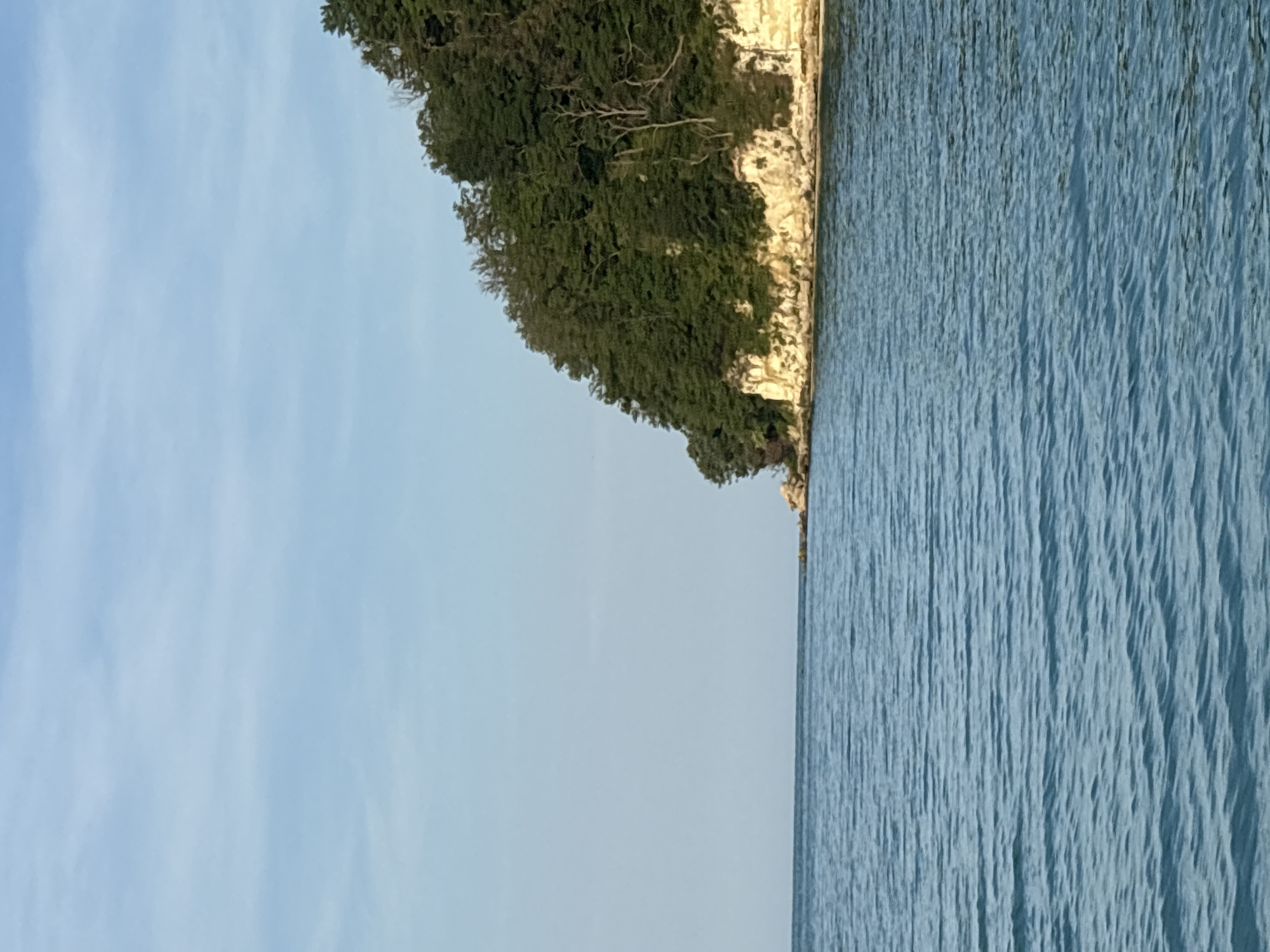 The image displays a natural coastal landscape under daylight conditions. The upper third of the frame is occupied by a light blue sky, featuring faint, wispy cloud patterns. A distinct horizon line separates the sky from a body of water, extending horizontally across the left and central portions of the image.
The lower two-thirds of the image depict an expanse of blue-green water. The water surface exhibits numerous small, horizontal ripples or waves, indicating slight movement.
On the right side of the image, a prominent landmass rises from the water. This landmass presents as a steep cliff, with its lower section consisting of exposed, light-colored rock formations, likely sedimentary, showing irregular shapes and evidence of erosion. Above these rock formations, the cliff face is densely covered with a variety of green trees, forming a thick canopy that extends to the crest of the slope. Some individual trees with lighter, visible trunks and branches are interspersed within the dense foliage. At the far left edge of the landmass, where it meets the horizon, a small rocky point protrudes into the water.
No human figures, animals, or man-made structures are present within the depicted scene. The lighting suggests natural sunlight, highlighting the textures of the water and the cliff face. The location is in the city of Unknown, Unknown.
