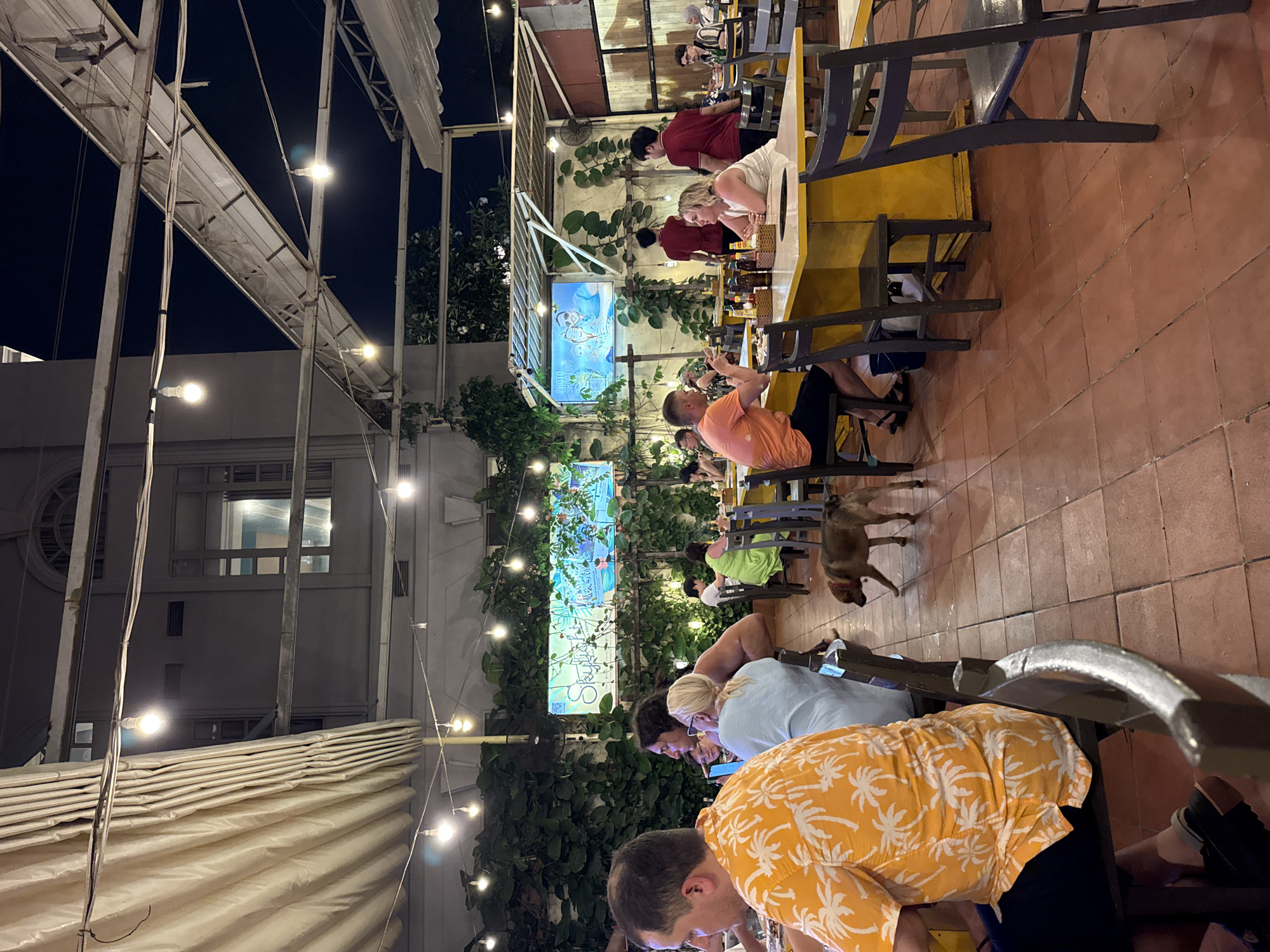 The image captures a vibrant, open-air or semi-outdoor dining and socializing area at night, consistent with the atmosphere of a bustling location like Nha Trang, Vietnam. The scene is illuminated by numerous warm string lights strung overhead and integrated into lush green foliage that covers parts of the walls and trellises.
Several patrons are seated at yellow-topped tables with dark chairs on a terracotta-tiled floor. People are engaged in various casual activities, with some looking at their phones, others conversing, and generally enjoying the relaxed evening. A medium-sized, short-haired dog with a collar is seen calmly walking between tables on the tiled floor.
Overhead, there is an exposed metal framework supporting what appears to be a retractable canvas or corrugated roofing system. In the background, taller buildings with windows are visible against the dark night sky. Prominently featured within the greenery are several large screens. One screen displays an underwater scene and clearly shows the text "PHOTO SHOOTING," along with smaller, less distinct text that might include "DIVING" or "DIVERS." Another screen to the left shows a stylized white "S" or similar symbol against a blue background. The overall impression is a lively, well-lit nighttime venue with a comfortable, social atmosphere.