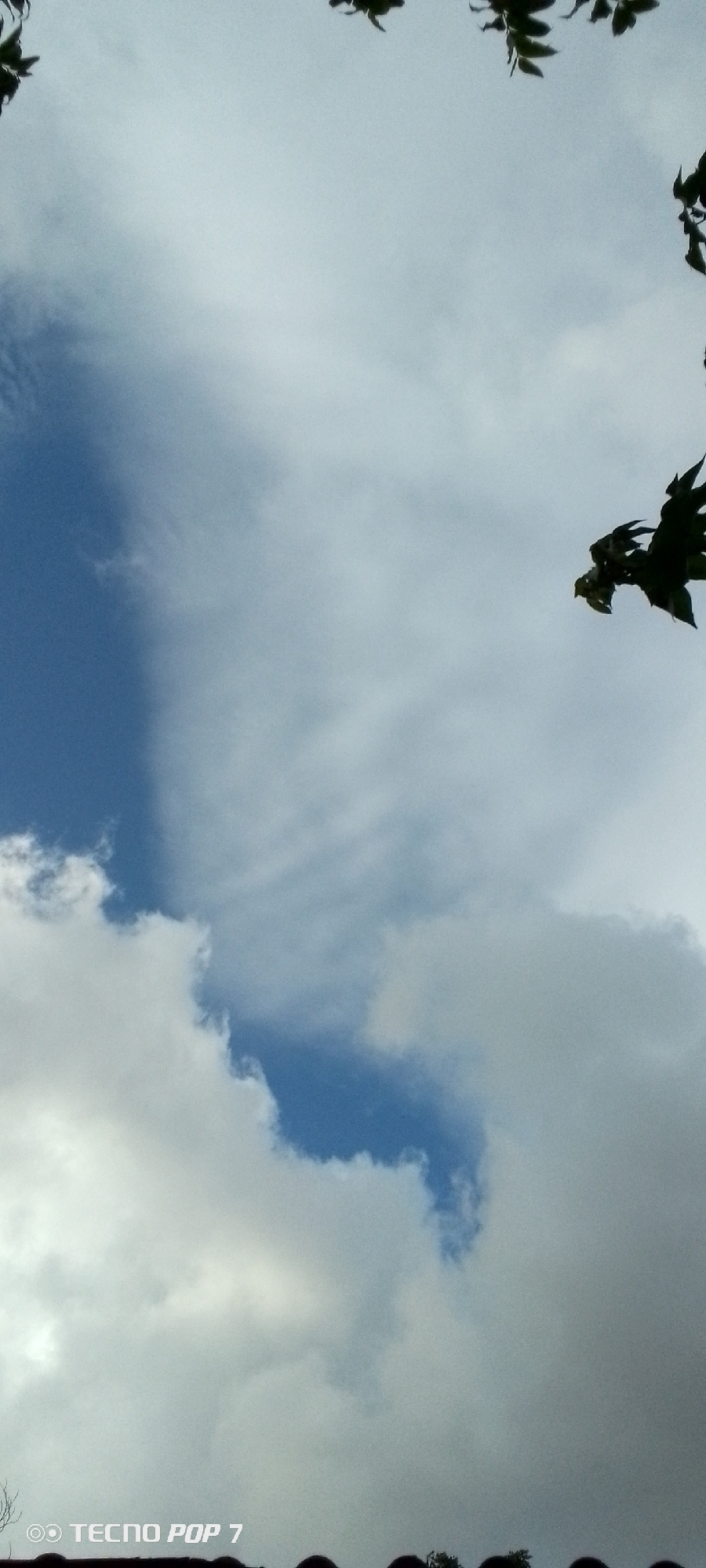 The image shows a sky with white clouds and patches of blue. There are dark green leaves from trees in the upper left and right corners. The bottom of the image features a watermark that reads "TECNO POP 7". No people or specific urban features are visible in Altagracia, Venezuela. The scene appears to be an outdoor view looking upwards.