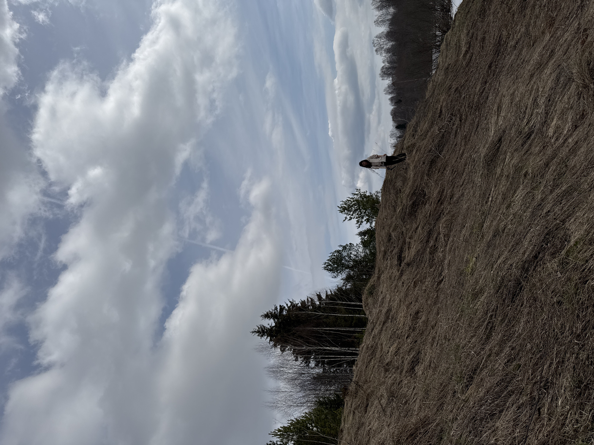A medium-shot photograph depicts a landscape with an elevated grassy hill and a person standing on the ridge against a backdrop of sky and scattered trees. The view is from below, looking up at a steep angle.
The right side of the image is dominated by a dry, brown grassy hill. The grass appears to be dormant, suggesting it might be late fall or winter. The texture of the grass is coarse and dense.
A person stands on the ridge of the hill, positioned slightly to the right of the center. The individual is wearing a light-colored jacket. The person's gaze is directed towards the right.
Behind the grassy hill and the person, there are clusters of trees. A mixed forest with bare trees and some coniferous trees is visible.
The sky fills the upper left portion of the image, featuring a mix of light blue and puffy white clouds.
The scene is set in Вассята, Russia.