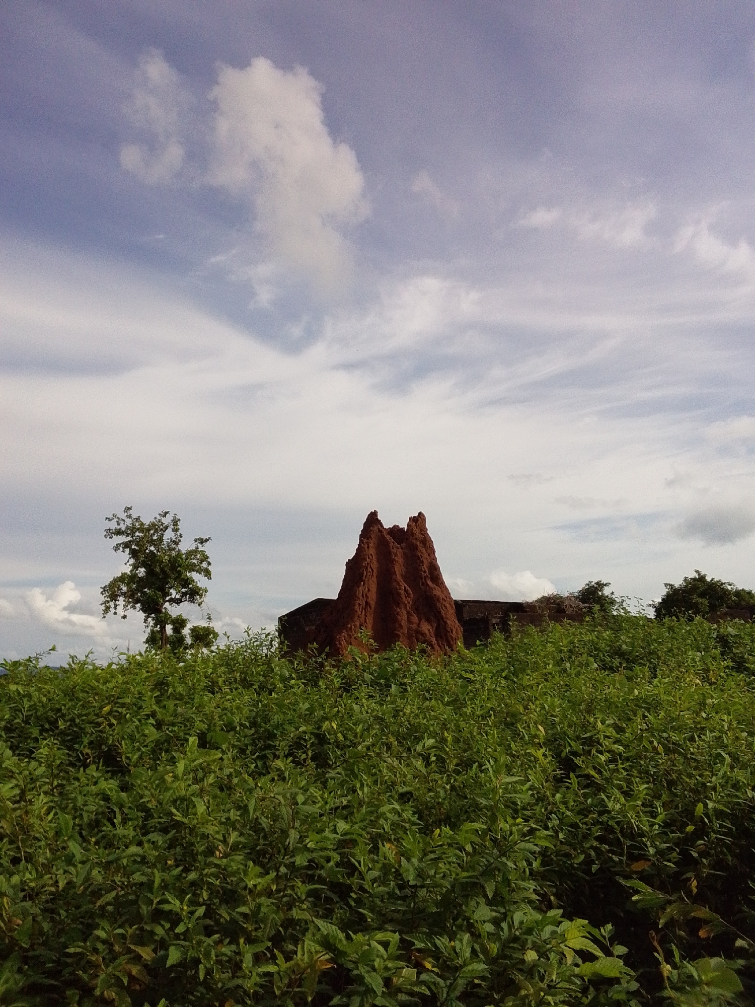 The image captures a landscape dominated by lush green foliage in the foreground, stretching across the lower half of the frame. Behind the dense vegetation, a prominent reddish-brown, cone-shaped structure, resembling a termite mound or a man-made effigy, stands out against the muted tones of a building structure behind it. To the left of this structure, a solitary tree with sparse foliage is visible. The upper portion of the image is an expansive sky filled with scattered white and grey clouds against a pale blue backdrop. The scene appears to be outdoors, likely in a natural or semi-natural setting within Serti, Nigeria, characterized by its verdant vegetation and sky. There are no people or animals present in the image.