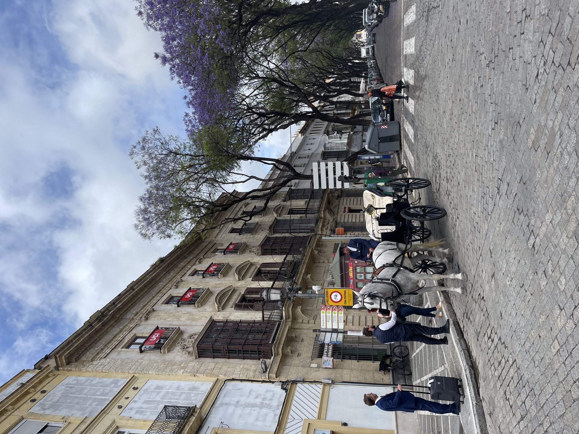 The image depicts a street scene in Jerez De La Frontera, Spain. A cobblestone street is lined with buildings, the most prominent being a multi-story structure adorned with wrought-iron balconies, some of which display red banners with the letters "UCI". Trees with purple flowers canopy the street.
A horse-drawn carriage with white horses stands on the street. A person in formal attire stands near the horses. Another person, also in formal attire, is pulling a suitcase along the street. Other people are visible in the background near parked cars. Traffic signs are mounted on the building.
