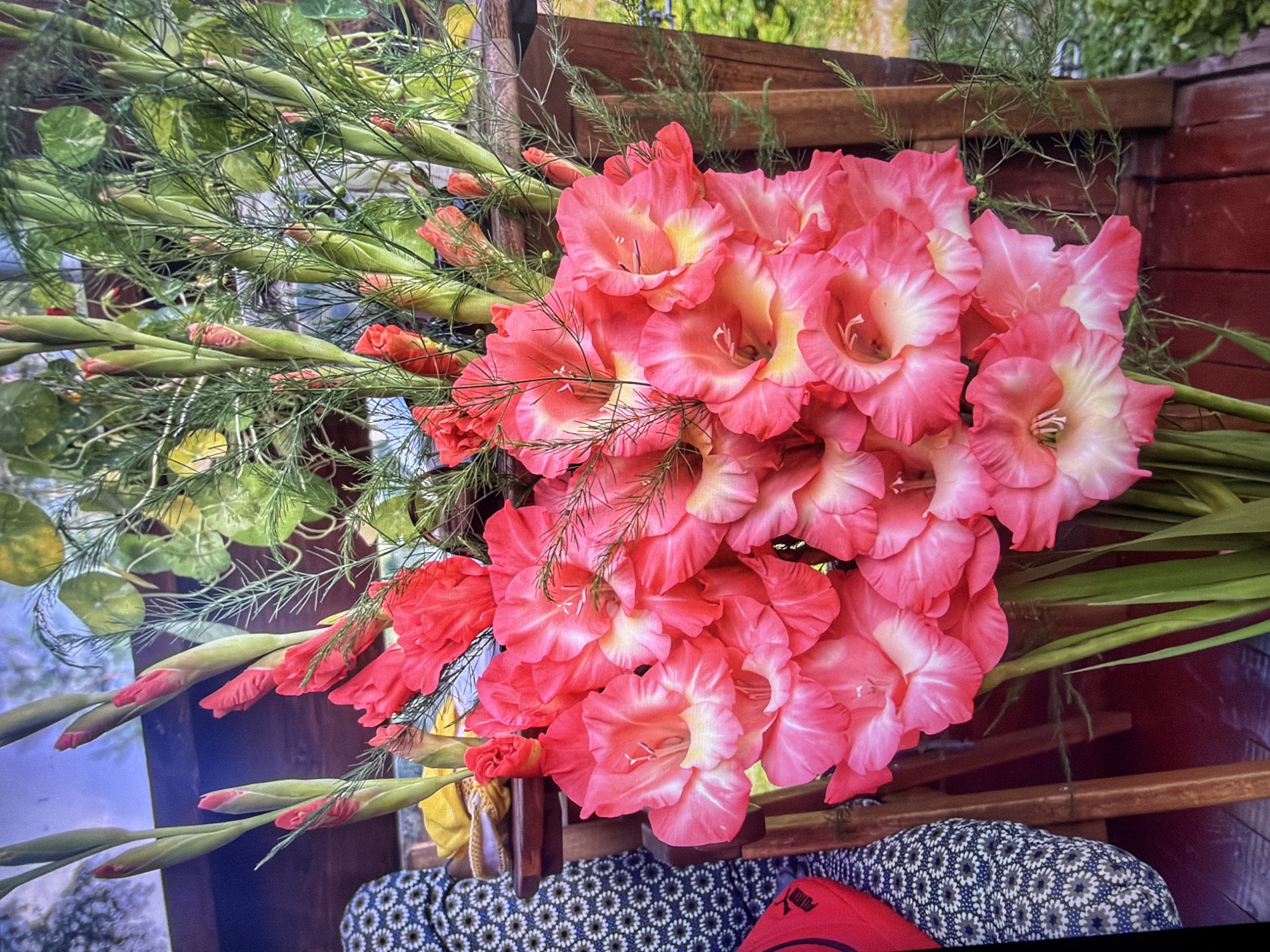 A vertical, eye-level, medium shot captures a bouquet of pink and white gladiolus flowers in a vase. The flowers are densely packed, with some in full bloom and others still in bud. Delicate green foliage, likely from the gladiolus stems or an accent plant, is interspersed throughout the arrangement. The background is softly blurred, revealing wooden planks of a rustic structure and hints of greenery and sky. A dark blue and white patterned fabric is visible on the left side of the frame, partially obscuring a red object with a logo. The lighting suggests an outdoor or well-lit indoor setting, with soft shadows. The image does not contain any explicit information about the city of Kotelniki, Russia.