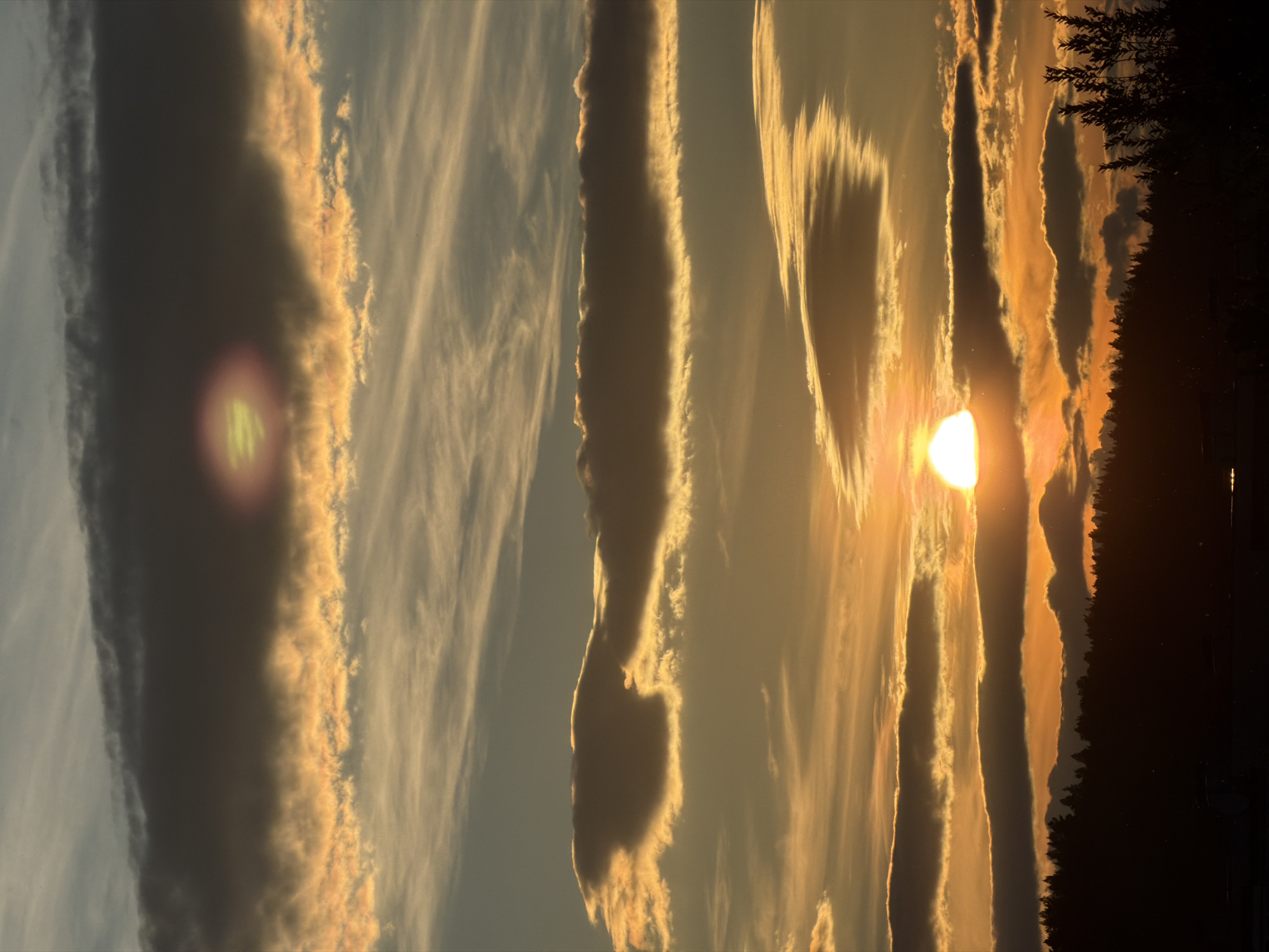 An extreme wide shot captures a sunset with dramatic, layered clouds in varying shades of orange, yellow, and gray. The sun, a bright, luminous disk, is visible in the lower right quadrant, casting a warm glow. The horizon is marked by a dark silhouette of a dense forest, with the tops of pine trees forming a jagged line against the colorful sky. In the foreground, a faint, darker silhouette suggests either ground or a body of water, with a hint of the sky's reflection. The overall impression is one of natural beauty and the serene end of a day.