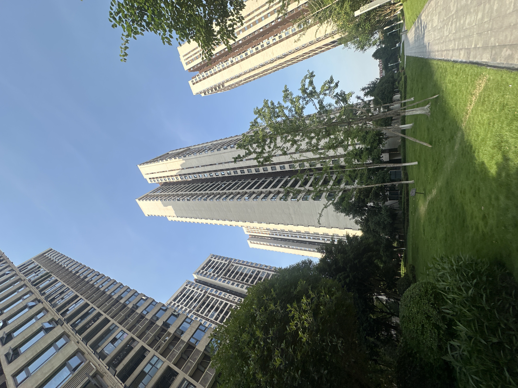 The image presents an upward-looking view of a modern urban environment, likely in Chongqing High-tech Zone, China, characterized by numerous tall buildings and green spaces under a clear blue sky.
The primary subjects are several high-rise buildings, appearing to be residential or mixed-use, with light-colored facades and numerous windows and balconies. These structures are captured from a low angle, emphasizing their height against the bright, cloudless sky. The architecture is contemporary, featuring repetitive patterns of windows and concrete elements.
The scene includes significant natural elements alongside the urban structures. Lush green trees with dense foliage are scattered throughout, some framing the edges of the view, while others stand between buildings. Manicured grass lawns, vibrant and well-maintained, occupy the ground level, alongside a light-colored paved pathway that suggests a pedestrian area within a complex or park.
The time of day appears to be bright daytime, indicated by the clear blue sky and strong sunlight casting distinct shadows on the grass and buildings. No specific activities or people are visible, lending a serene and still atmosphere to the scene.
A notable detail is a partial sign with the text "R&F" visible on a vertical post near the top left of the green area, possibly indicating the name of the development or developer. Another small, dark rectangular sign is visible at ground level near the pathway. The setting conveys a sense of modern urban development integrating green areas.