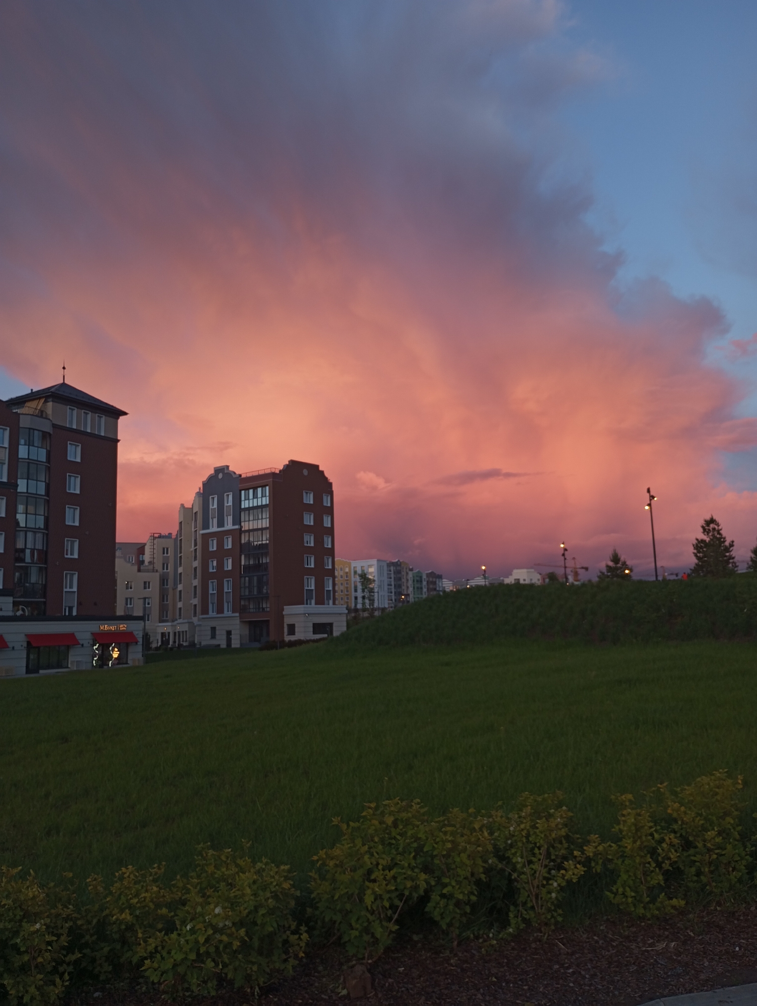 The image captures a twilight scene in Izhevsk, Russia. Several multi-story residential buildings are situated behind a grassy slope. The foreground features low-lying shrubbery. The sky is dominated by large, pink-tinted clouds, transitioning to a lighter blue hue in the upper right corner. Streetlights are visible on top of the grassy slope. A sign in Cyrillic script is apparent at the base of one of the buildings.