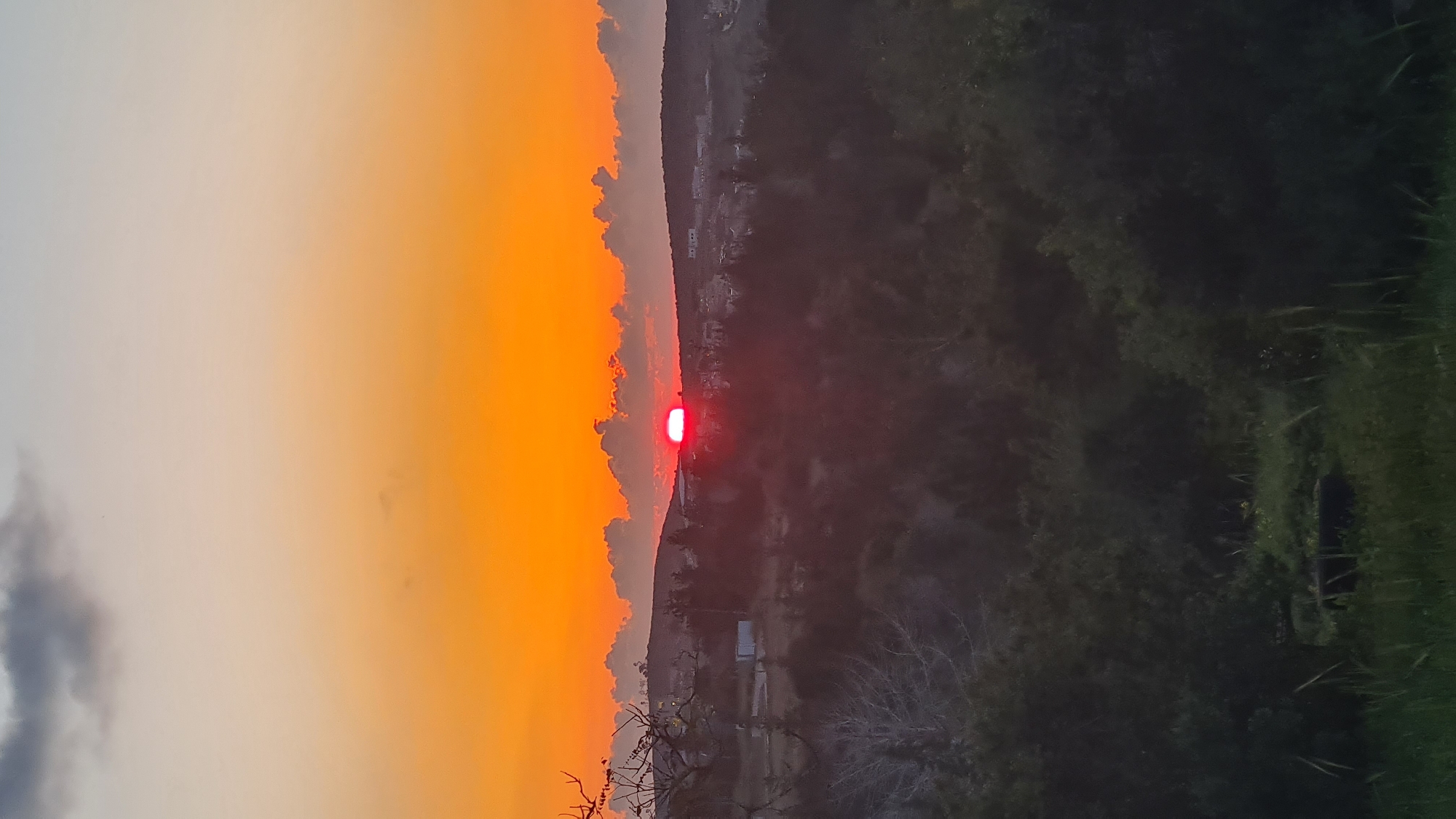 The image shows a sunset in the Lachish Regional Council, Israel. The sun, a bright red orb, is setting behind a hill. To the left of the sun, the sky is a mix of orange and yellow, fading into a lighter gray-blue. There are some clouds visible in the sky. To the right of the hill, there is a dark green area, possibly trees and vegetation. Some structures appear near the hill. A bare tree branch is visible in the foreground.