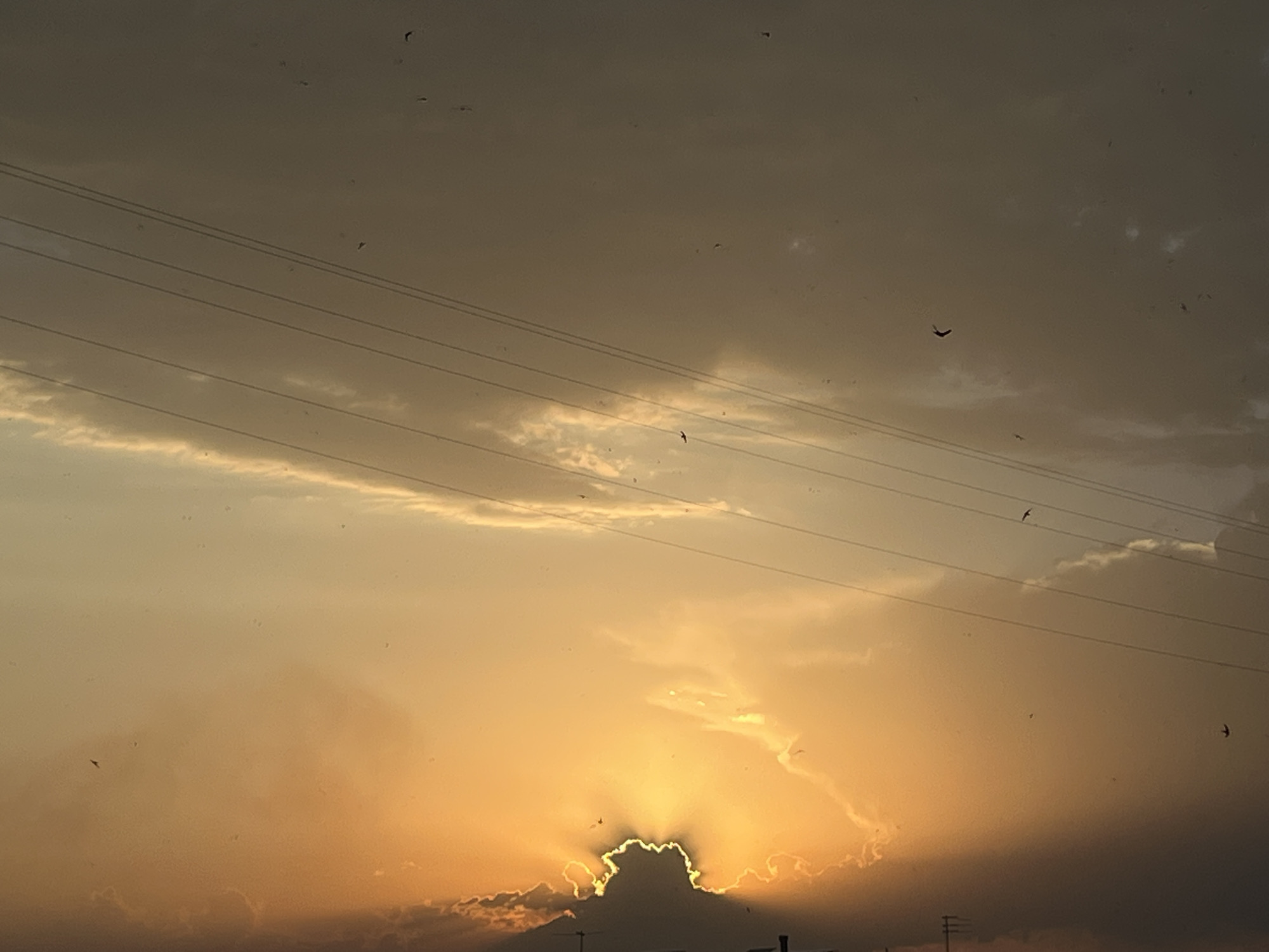 This image depicts a sunset in Yerevan, Armenia, with the sun peeking through a cloud formation. Several birds are visible in flight against the hazy, orange-tinged sky, which is crisscrossed by power lines. The lower portion of the image shows silhouetted structures, possibly utility poles and buildings, indicating an urban environment. The lighting suggests it is either early morning or late evening.
