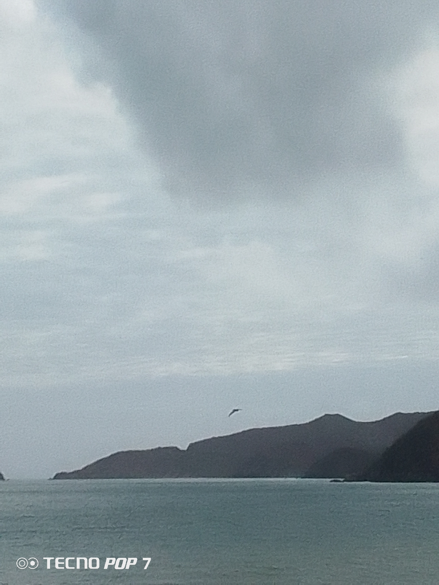 The image depicts an expansive outdoor scene in Pedro González, Venezuela, dominated by a largely overcast sky, a body of water, and distant landmasses. The upper half of the frame is filled with a dense, light grey to dark grey cloud cover, indicating an overcast condition with diffuse lighting. The central and lower portions of the image feature a calm body of water, exhibiting a muted teal color, with minimal discernible surface activity or reflections.
Stretching across the mid-ground, forming the horizon line between the water and the sky, is a series of dark, undulating landmasses, characteristic of hills or mountains. These landforms appear as silhouettes in dark grey and dark blue tones, suggesting distance or a position relative to the overcast light source. A solitary, dark avian silhouette is visible in the upper mid-ground, positioned against the distant hills, indicating a bird in flight. No human subjects or distinct artificial structures other than the landmasses are visible within the natural environment. The bottom-left corner of the image bears a "TECNO POP 7" watermark. The overall color palette is subdued, consisting primarily of greys, dark blues, and teals, consistent with a cloudy coastal or bay environment.