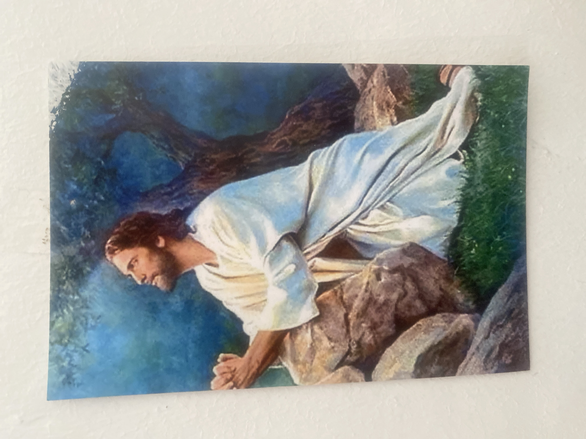 This is a photograph of a printed image featuring a painting of Jesus. The painting depicts Jesus kneeling on rocks, with his face turned downwards and his hands clasped. He is wearing a white robe. The background consists of dark foliage and a blue, possibly nighttime, sky. The painting has a dramatic and somber tone. The printed image is affixed to a white, textured surface, likely a wall. The image appears to be a postcard or a small print, with some wear and tear visible on the edges, particularly the top left corner. The scene is likely set in a natural, rocky environment, possibly suggesting a biblical narrative. There is no visible text in the image.