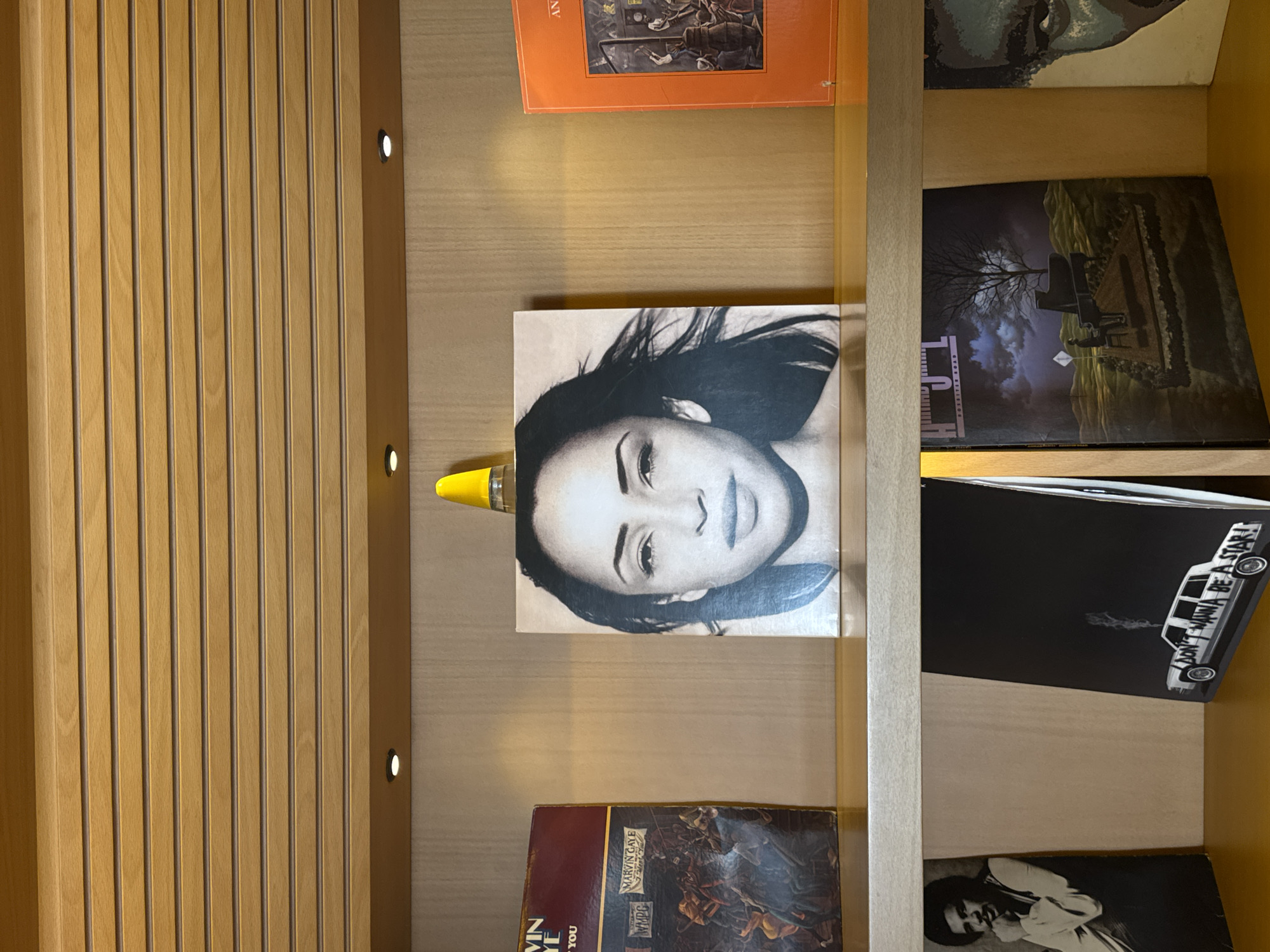 The image shows a shelf of vinyl records within a room. The wall on the left has vertical wood panels with small circular lights. The records include: an orange cover at the top, a black and white portrait of a woman, "I Don't Wanna Be A Star!", and "Marvin Gaye". A yellow object with a silver top rests on the shelf near the portrait. The location is unknown.