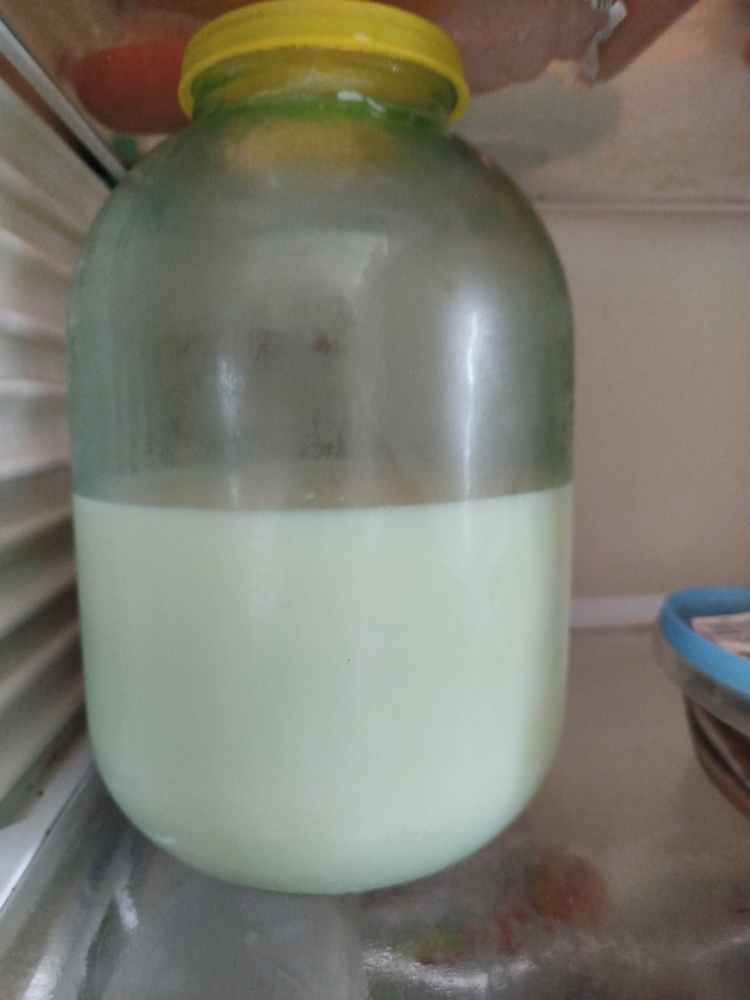 This is a medium shot of a large glass jar filled with a pale green liquid, likely milk or a similar dairy product. The jar has a bright yellow lid with a green band around the neck. The jar is positioned on a shelf inside a refrigerator, as indicated by the ribbed texture of the refrigerator's interior on the left side of the image and the reflective, somewhat frosted surface of the shelf. In the background, out of focus, other items can be seen within the refrigerator, including what appears to be a red object and a blue-rimmed container. The lighting is dim, consistent with an indoor, refrigerated environment. There is no discernible activity taking place, as the image focuses on the static object. The overall impression is one of food storage in a domestic setting. The location context provided is "Крывасельскі сельскі Савет, Belarus," which suggests the geographical area where the photo was taken.