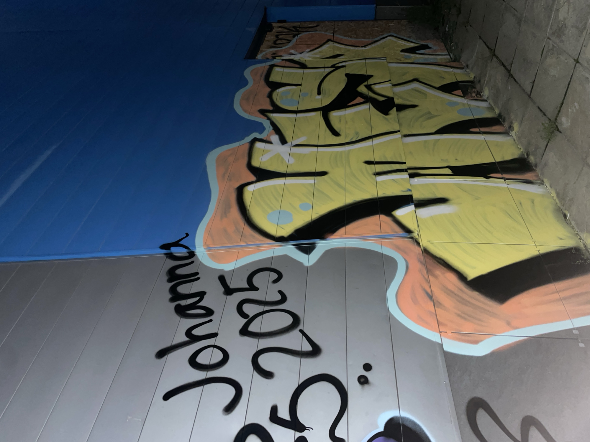 This image captures a low-light scene, likely at night or in a dimly lit underpass or tunnel in Sofia, Bulgaria. The shot is tilted, offering a dynamic view of several graffiti-covered walls.
To the left, a smooth, deep blue wall or panel surface is visible, showing faint horizontal textures and streaks of reflected light, suggesting a metallic or glossy finish. Below this, a grey wall, also appearing to be composed of vertical panels, extends across the lower part of the frame.
The central and upper right sections are dominated by vibrant graffiti. Large, stylized letters, predominantly yellow with thick black outlines and touches of light blue and white highlights, are painted across the walls. This yellow graffiti is bordered by a wavy, organic shape outlined in orange and light blue, creating a clear boundary between the artwork and the plain wall sections. The underlying panel lines are visible through the paint, indicating it's directly on the structured surface.
To the far right, a rough, block-like stone or concrete wall rises, also bearing some faint graffiti, though less distinct.
On the grey wall in the foreground, bold black cursive text stands out, reading "Johanna 2025". This inscription contrasts with the more elaborate, colorful graffiti. The overall atmosphere is dark and urban, with the artificial lighting emphasizing the vibrant colors of the street art against the industrial backdrop.