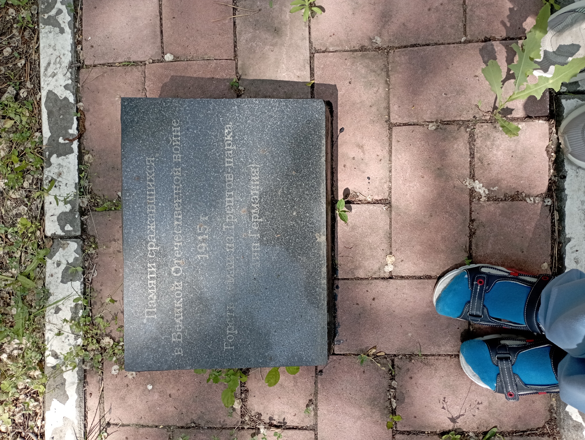 This is a high-angle, outdoor, eye-level medium shot of a gravestone on a paved walkway. The gravestone is black and rectangular with white lettering. The text on the gravestone reads: "Памяти сражавшихся в Великой Отечественной войне 1915 г. Город в парке Трептов-парка. (в Германии)". To the right of the gravestone, a person wearing blue and white sandals and blue pants is visible from the knees down. The walkway is made of red bricks. Green plants are growing in the cracks between the bricks and around the edge of the walkway. The lighting suggests it is daytime, with some shadows cast on the ground. The location is identified as the Treptower Park in Berlin, Germany, and it memorializes those who fought in the Great Patriotic War.