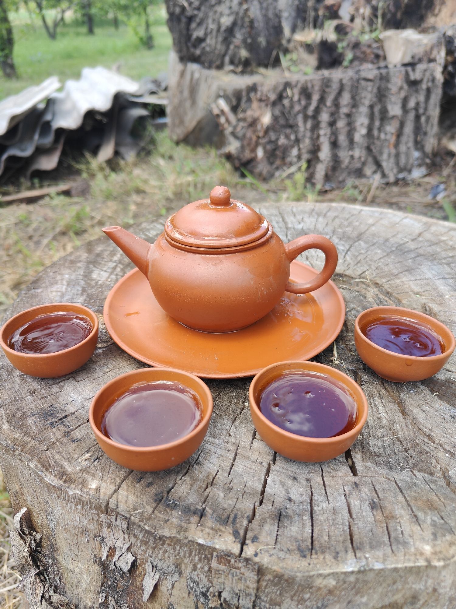 A close-up, eye-level shot captures a traditional clay teapot and four small cups filled with dark liquid, possibly tea, arranged on a weathered tree stump in an outdoor setting. The teapot is brown and rests on a matching saucer, positioned centrally. Four small, brown clay cups are placed around the teapot. Two cups are in the foreground, one slightly to the left and one to the right of the teapot. Two more cups are positioned further back, one to the far left and one to the far right. The tree stump displays a rough, textured surface with visible grain and cracks. In the background, out of focus, are lush green trees and foliage, suggesting a natural environment. Some corrugated roofing sheets are visible to the left of the frame, also out of focus. The lighting appears to be natural daylight. There are no people or animals present in the scene. The image does not provide any specific information about the location in the city of Kryvyi Rih, Ukraine.