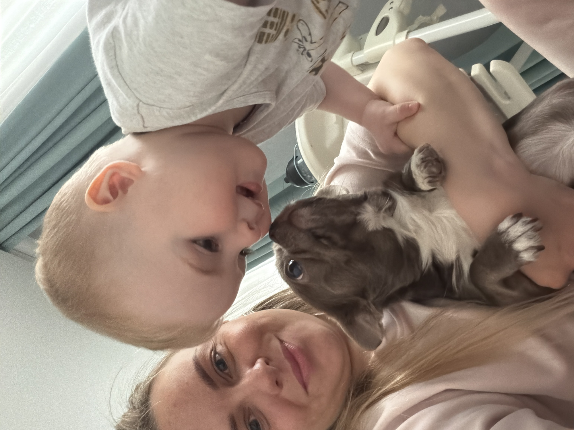 This close-up, selfie-style image is captured from a low angle, presenting the subjects rotated 180 degrees, appearing upside down. The photograph features an adult woman, a baby, and a small puppy, highlighting a tender interaction between them.
The woman, with blonde hair, occupies the foreground, looking directly at the camera with a soft, gentle smile. Above her, a baby or toddler with light hair is positioned, gazing towards the puppy with a curious expression and a slightly open mouth. The baby is wearing a light-colored t-shirt with faint graphic patterns. Between the baby's face and the woman, a small puppy, likely a French Bulldog given its features and blue eyes, is centrally placed. The puppy has light brown-grey fur with white markings, and its nose is almost touching the baby's face, indicating a close moment of connection.
The background reveals an indoor domestic setting, with a white or light grey baby bouncer or chair partially visible, along with soft blue-grey and white curtains. The lighting is diffused and natural, suggesting it was taken during the daytime. The overall emotional tone is warm and affectionate, capturing a heartwarming bond between the individuals and their pet. There is no visible text in the image. The location context provided is Votkinsk, Russia.