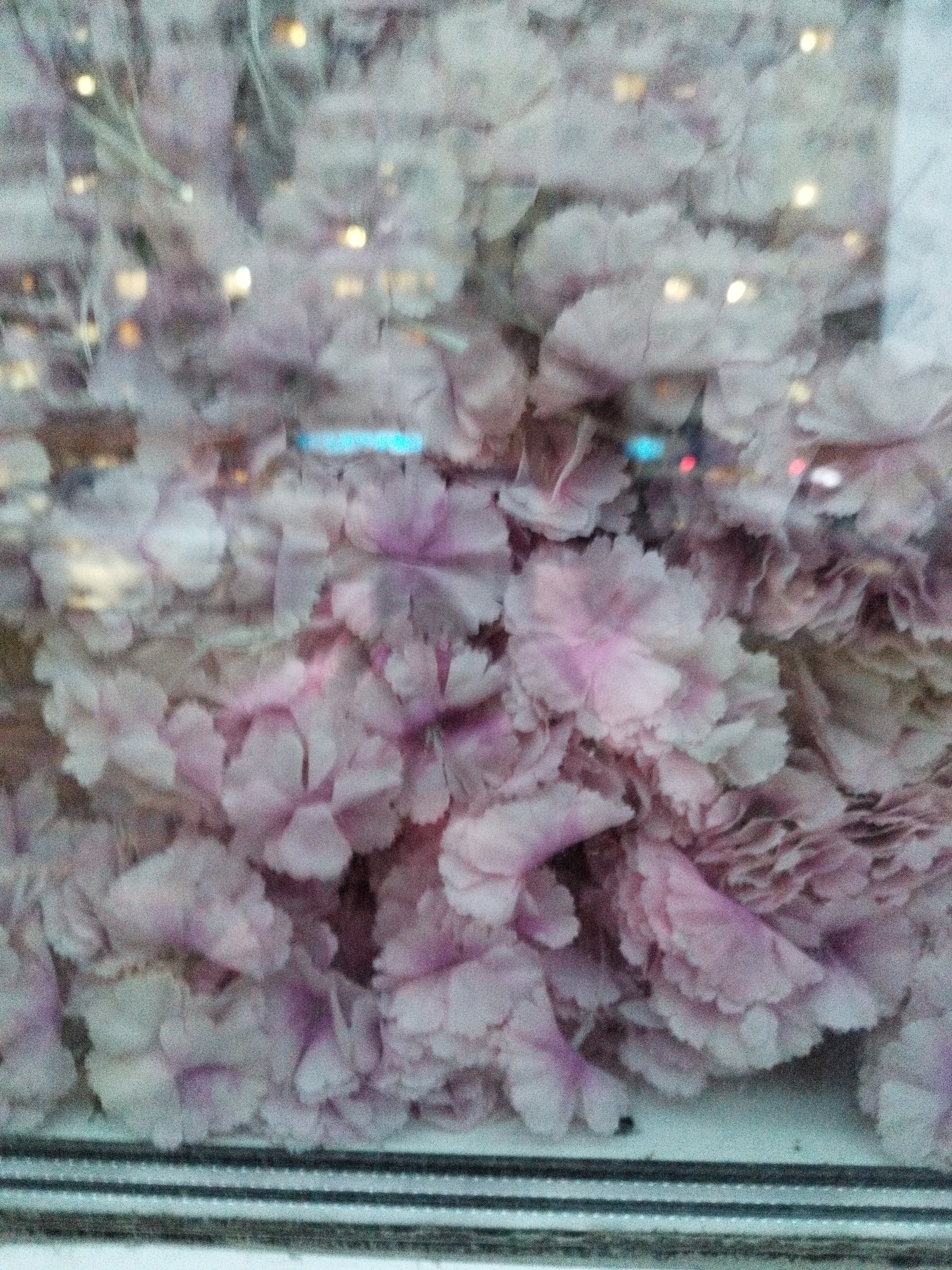 The image depicts a blurred view of artificial pink flowers, possibly a decorative arrangement or garland, seen through a glass surface. Reflections of interior lights, appearing as yellow and blue or teal orbs, are visible within the flowers. The foreground shows a window frame with horizontal blinds. The scene is likely an indoor display, perhaps in a shop window or public space, located in the city of Surgut, Russia. There are no discernible people or actions taking place.
