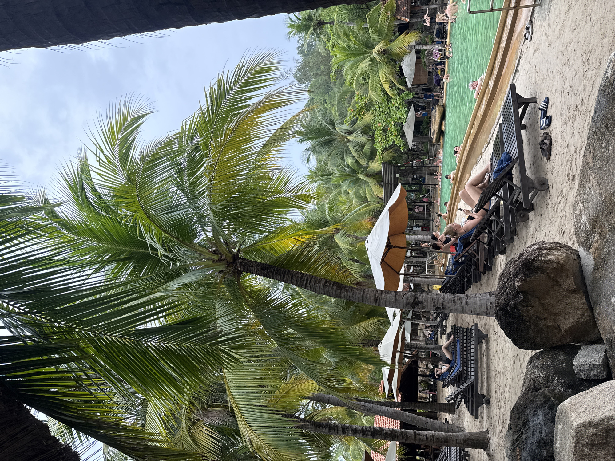This image captures a scene at a resort or water park in Nha Trang, Vietnam, likely near a beach, given the sandy ground and abundance of palm trees. In the foreground, large, dark rocks sit on the sand, partially obscuring loungers and umbrellas. Several empty and occupied lounge chairs are arranged on the sand, many shaded by large, white or tan umbrellas. A woman in a black swimsuit is reclining on one of these chairs, looking at her phone. Behind the loungers, a vibrant green swimming pool is visible, with a curved beige edge. Numerous people are in the pool, some swimming, others standing and interacting. A water slide with a curved beige surface is a prominent feature of the pool area. In the background, more palm trees and lush green foliage create a tropical atmosphere, with hints of buildings and structures, possibly accommodations or amenities, interspersed within the greenery. The sky is overcast, suggesting a cloudy day. The overall impression is a relaxing, resort-like environment designed for leisure and recreation.