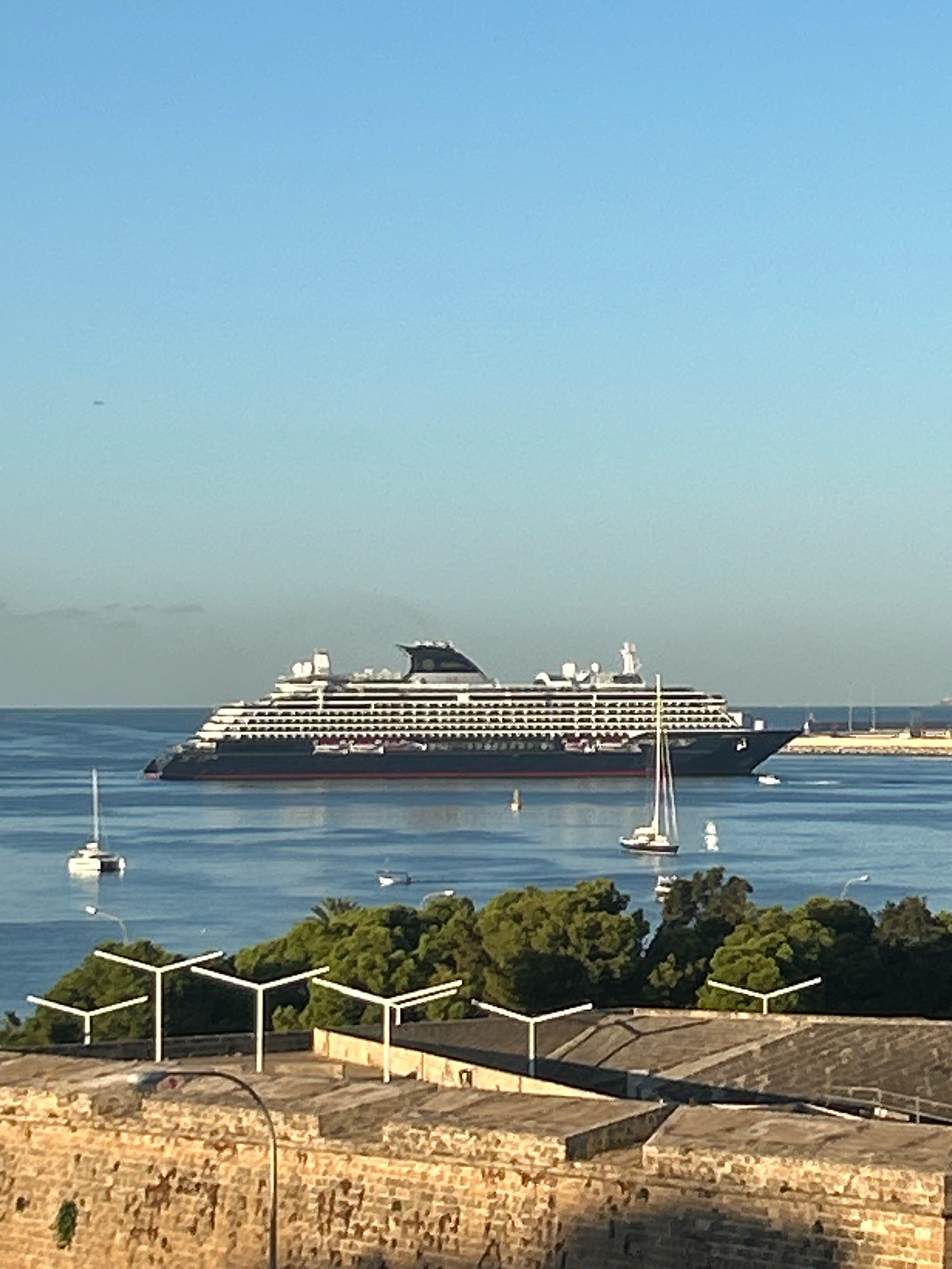 A large cruise ship with multiple decks and a dark hull is docked in the Port of Palma, Spain, under a clear blue sky. The ship is positioned in the middle ground of the image, with the calm blue water of the port in front of it. Several smaller sailboats are scattered in the water, closer to the foreground. The foreground of the image features a stone wall and some trees. The overall scene depicts a bright, sunny day at a harbor.