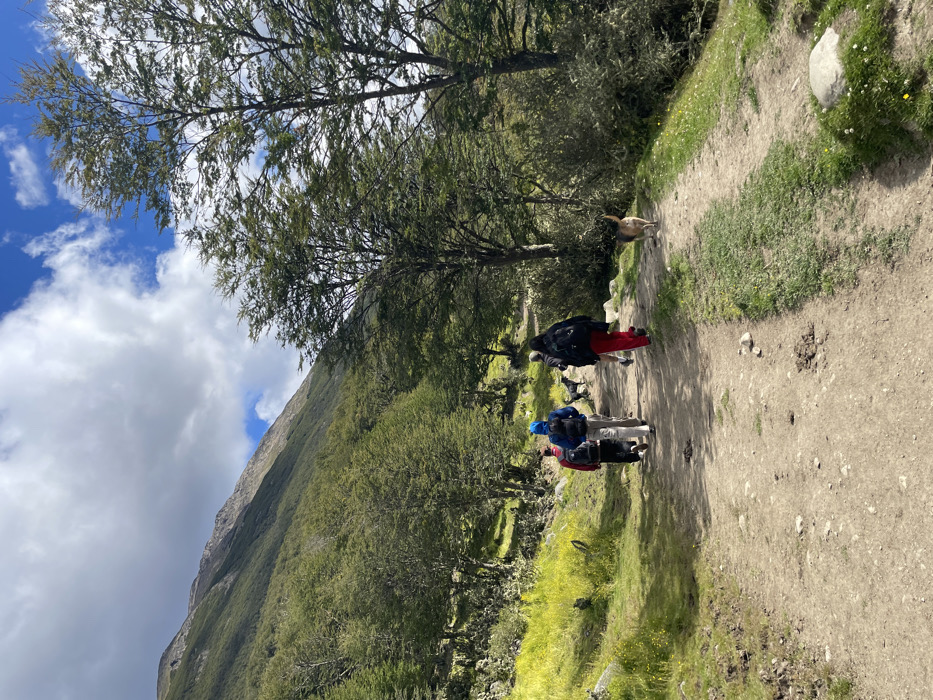 Five individuals and two dogs are observed from behind, traversing a dirt and gravel hiking trail in a forested mountain valley in Ushuaia, Argentina. The subjects are walking away from the camera. The first visible person from the left wears a red jacket and dark backpack. The second wears a blue hooded jacket and light pants, carrying a dark backpack. The fourth wears red pants and a dark backpack. A dark-colored dog walks on the left side of the trail among the group, while a light and dark brown dog walks ahead on the right side. The trail exhibits scattered rocks and several dark, irregular mounds consistent with animal droppings. Dense deciduous forest with light green foliage borders both sides of the path. A steep, verdant mountain slope rises in the left background, transitioning to exposed rock near its summit. The sky above features a mix of white cumulus clouds and patches of clear blue.