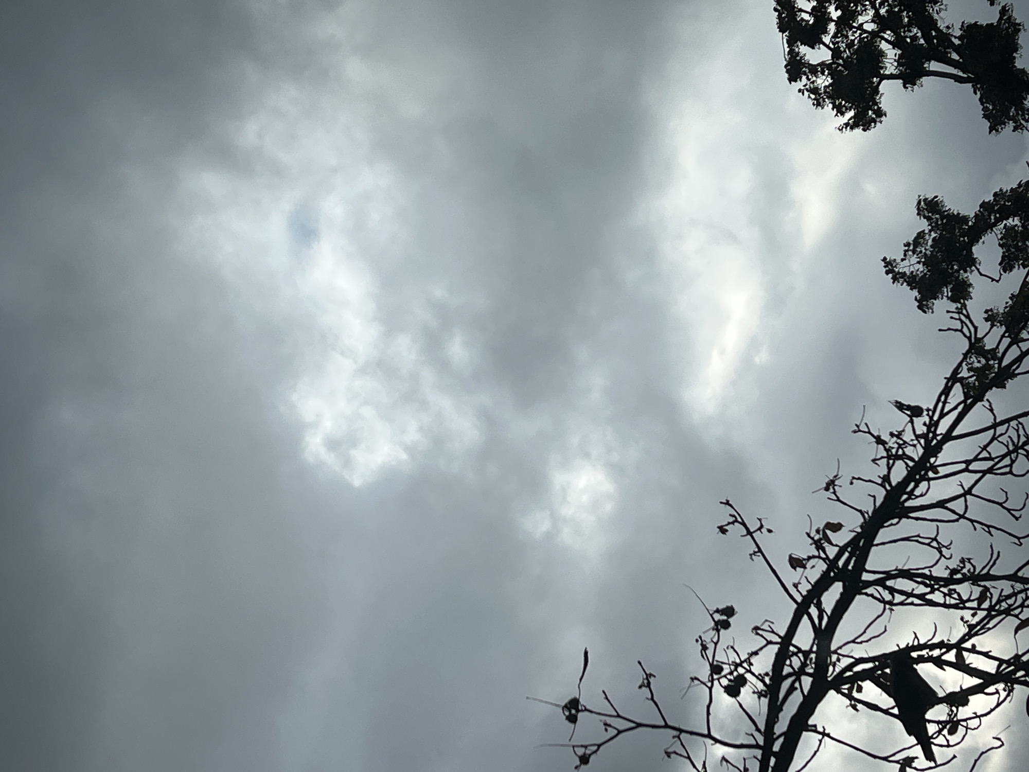 The image depicts a close-up view of a cloudy sky with silhouettes of tree branches in the foreground and lower right corner. A small patch of brighter sky is visible through a gap in the clouds in the upper center of the image. The overall atmosphere is somber and overcast. There are no discernible elements that indicate the location within Warsaw, Poland.
