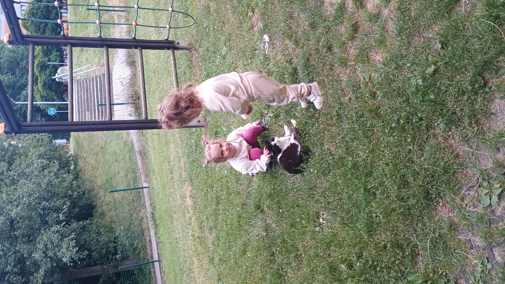 Two young children are interacting with a black and white cat on a grassy area in Sokolov, Czechia. The child on the left, a girl with blonde hair in two buns, is kneeling and petting the cat, which is lying on its side. She is wearing a light-colored long-sleeved shirt and purple leggings. The child on the right, a girl with wavy blonde hair, is standing and appears to be holding something in her hands, possibly interacting with the cat or the other child. She is wearing a beige tracksuit and white shoes.
In the background, a metal playground structure with wooden bars and a rope net is visible. Beyond the playground, there is a grassy slope with trees and a path. A set of concrete stairs leads up the slope, and a sign with a blue bicycle symbol is mounted on a pole near the stairs. The overall setting suggests an outdoor recreational area, likely a park or playground within the city of Sokolov. The ground is covered in green grass, with some patches of dirt visible. The lighting suggests it is daytime, with overcast conditions.